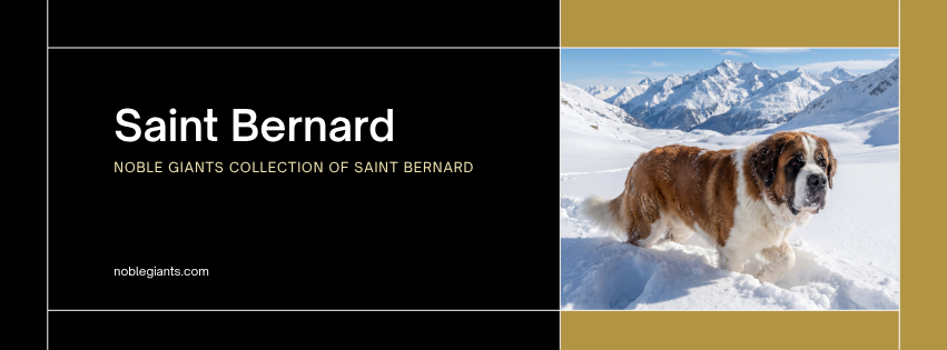 Saint Bernard