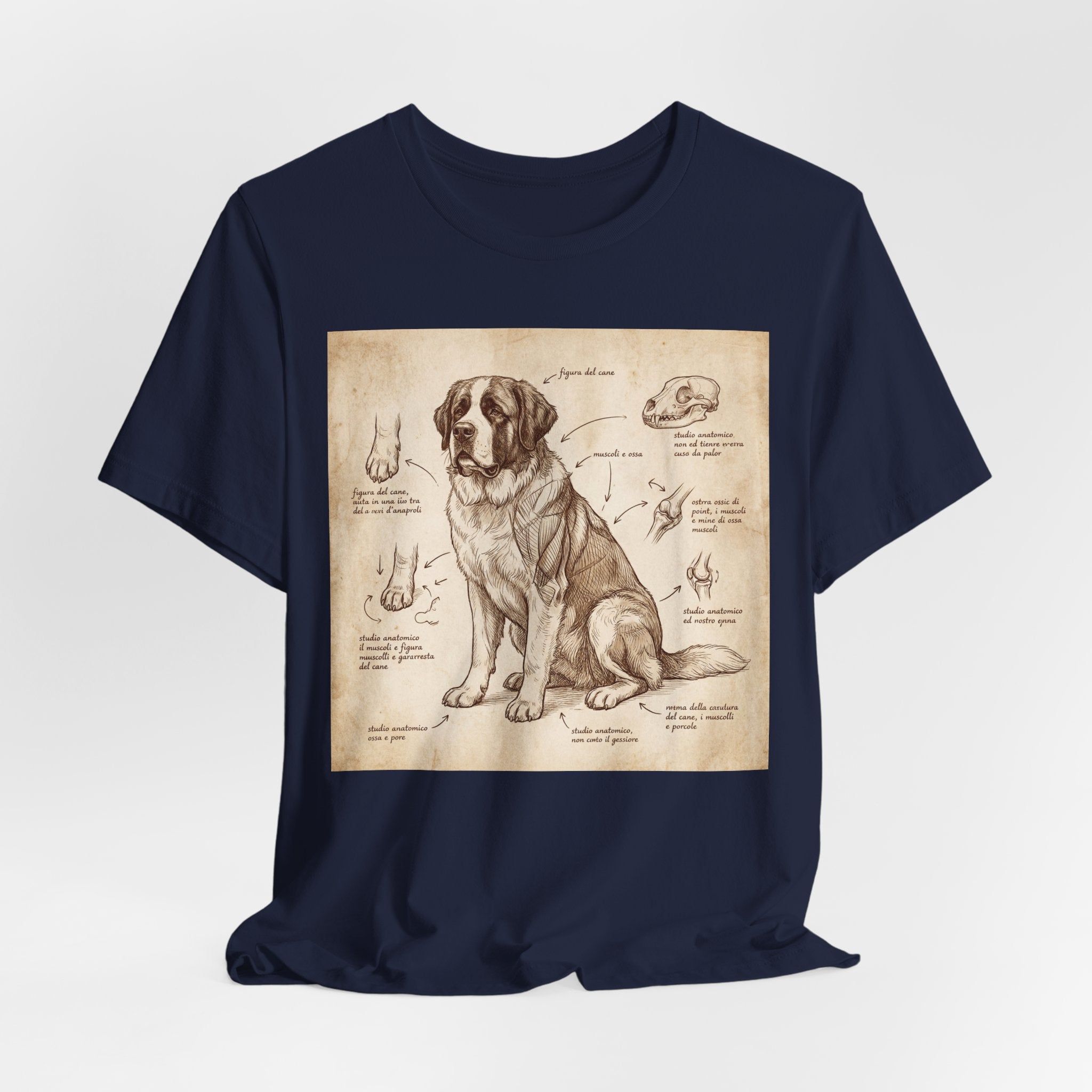 Da Vinci Style Saint Bernard T-Shirt — Anatomical Sketch Art Print