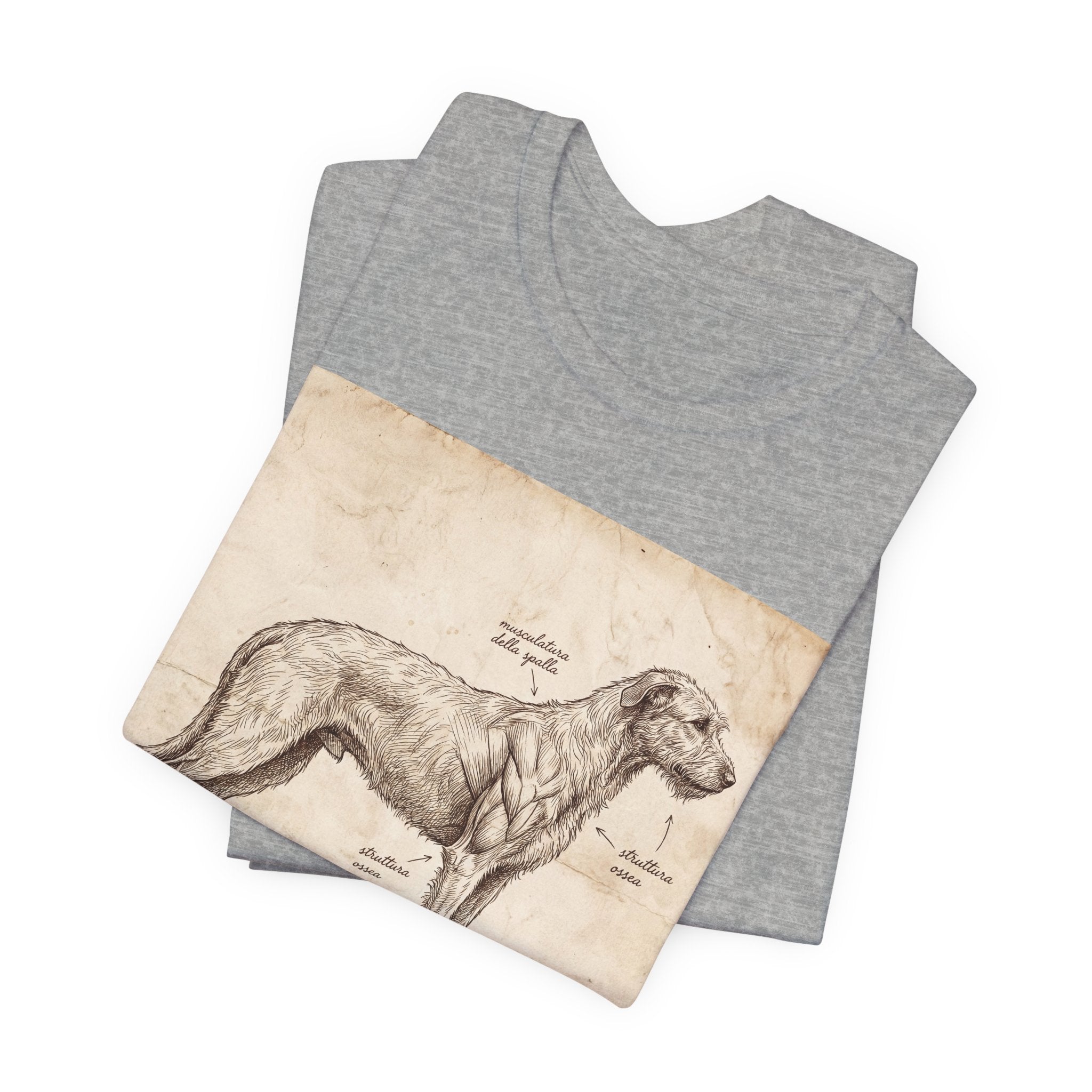 Anatomical Irish Wolfhound T-Shirt — Aged Parchment Sketch Art Print