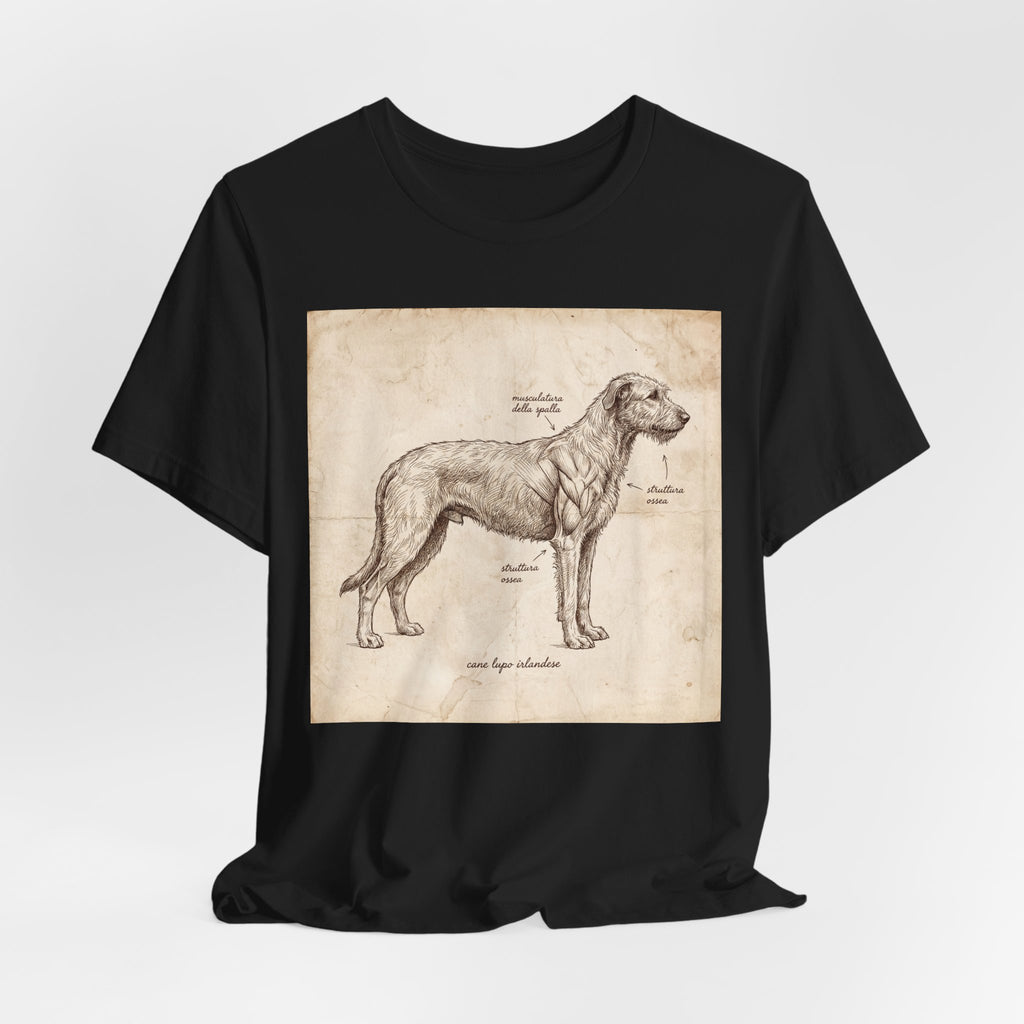 Anatomical Irish Wolfhound T-Shirt — Aged Parchment Sketch Art Print