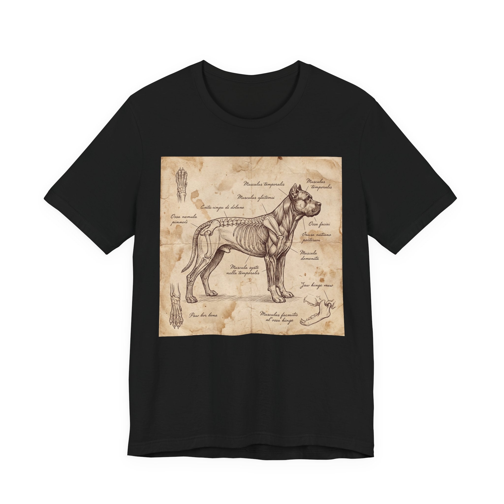 Da Vinci Style Cane Corso T-Shirt — Anatomical Parchment Art Print