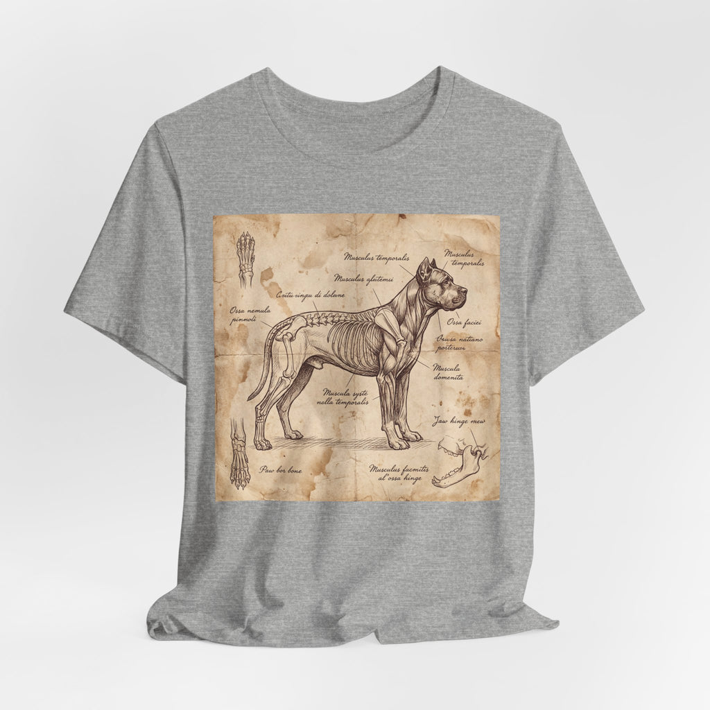 Da Vinci Style Cane Corso T-Shirt — Anatomical Parchment Art Print