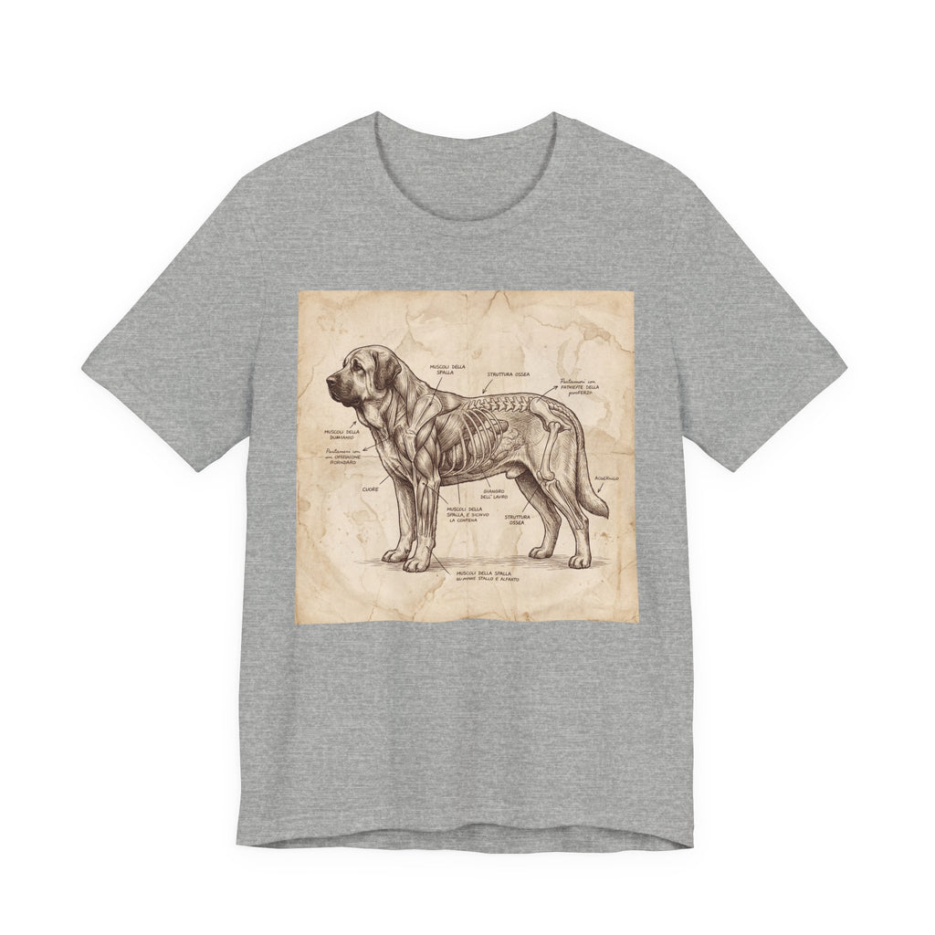Da Vinci Style Spanish Mastiff T-Shirt — Anatomical Parchment Art Print