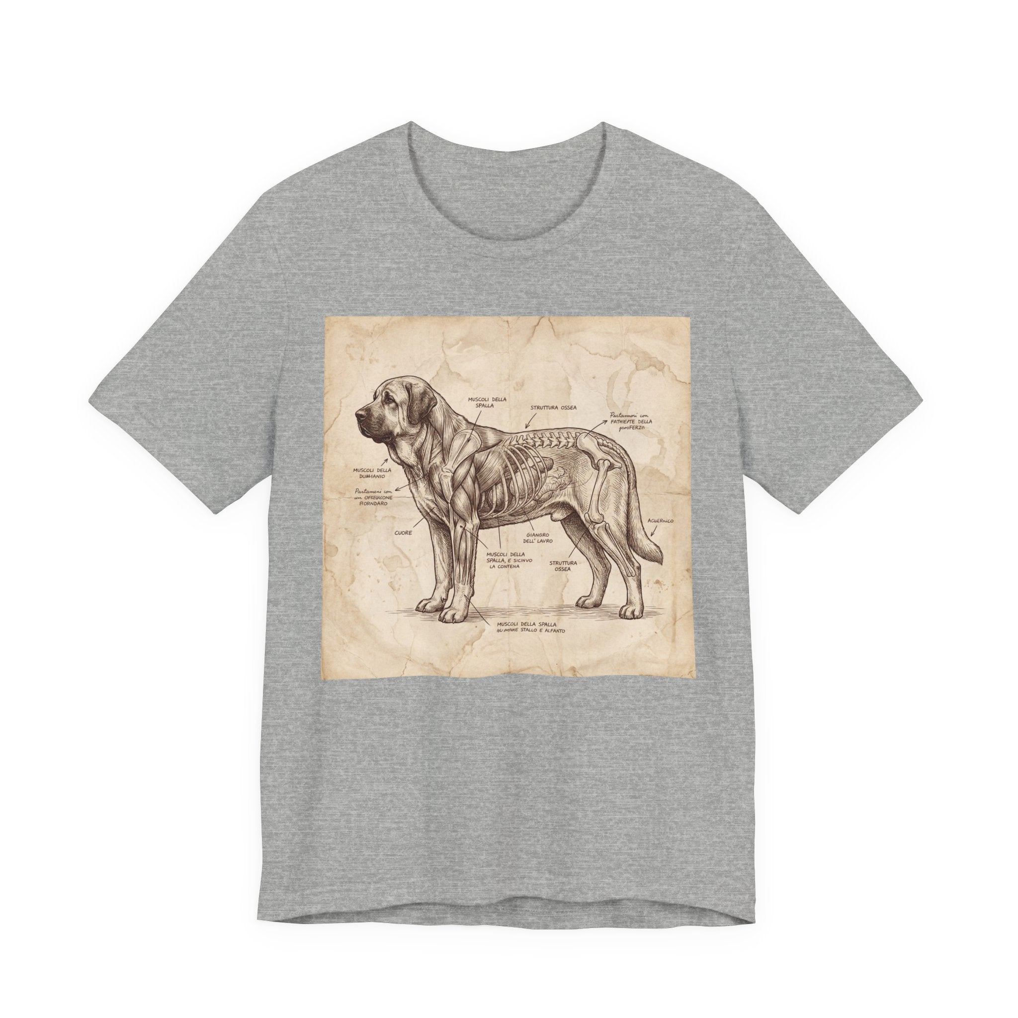 Da Vinci Style Spanish Mastiff T-Shirt — Anatomical Parchment Art Print