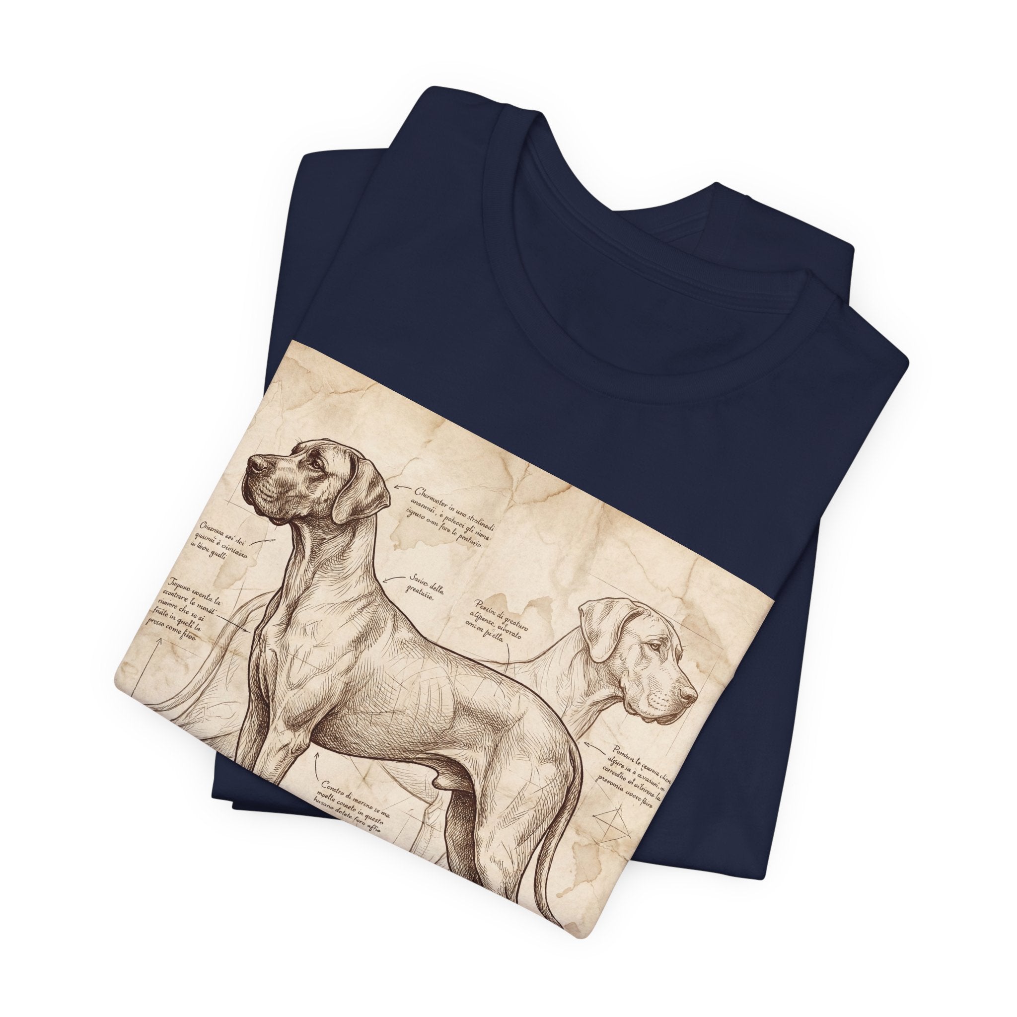 Da Vinci Style Great Dane T-Shirt — Anatomical Blueprint Art Print