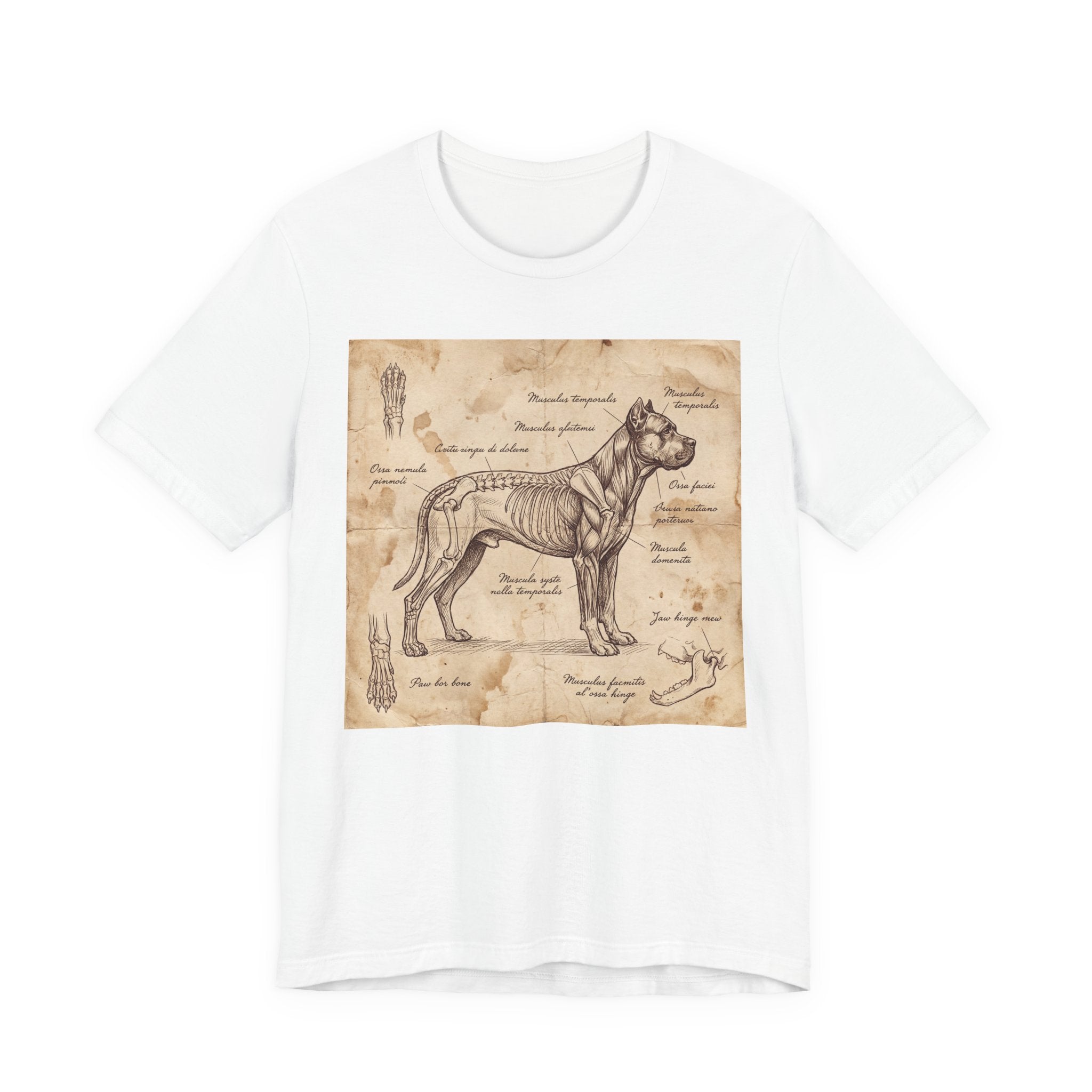 Da Vinci Style Cane Corso T-Shirt — Anatomical Parchment Art Print