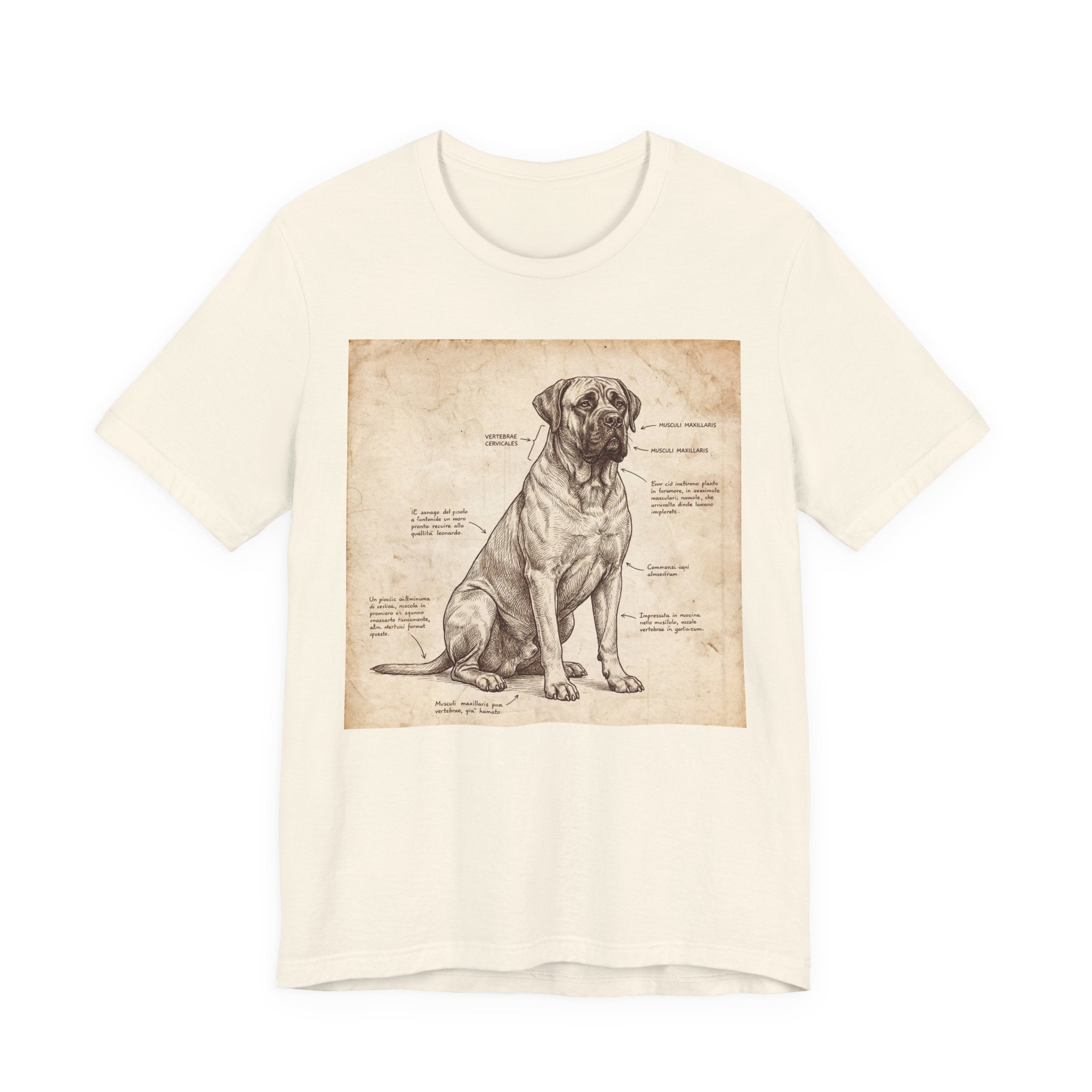 Da Vinci Style Mastiff T-Shirt — Anatomical Parchment Art Print