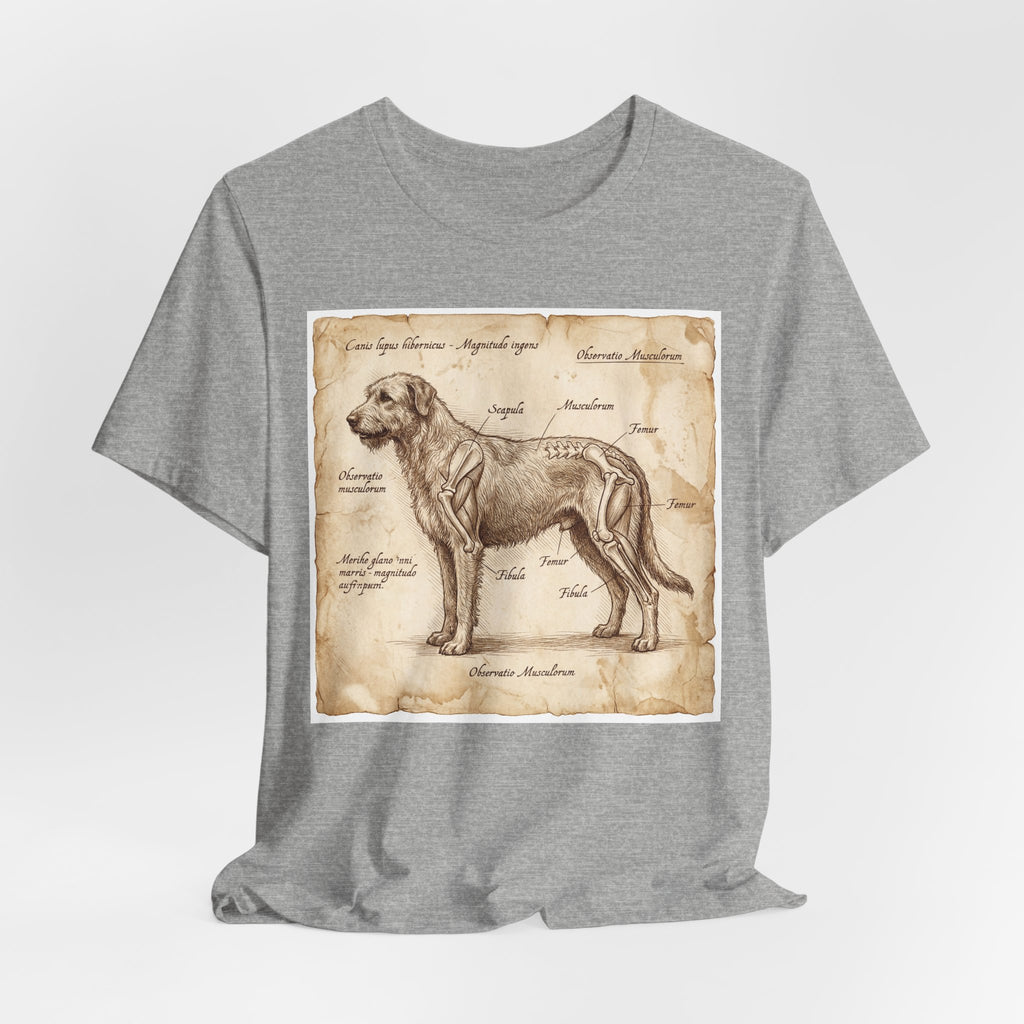 Da Vinci Style Irish Wolfhound T-Shirt — Anatomical Parchment Art Print