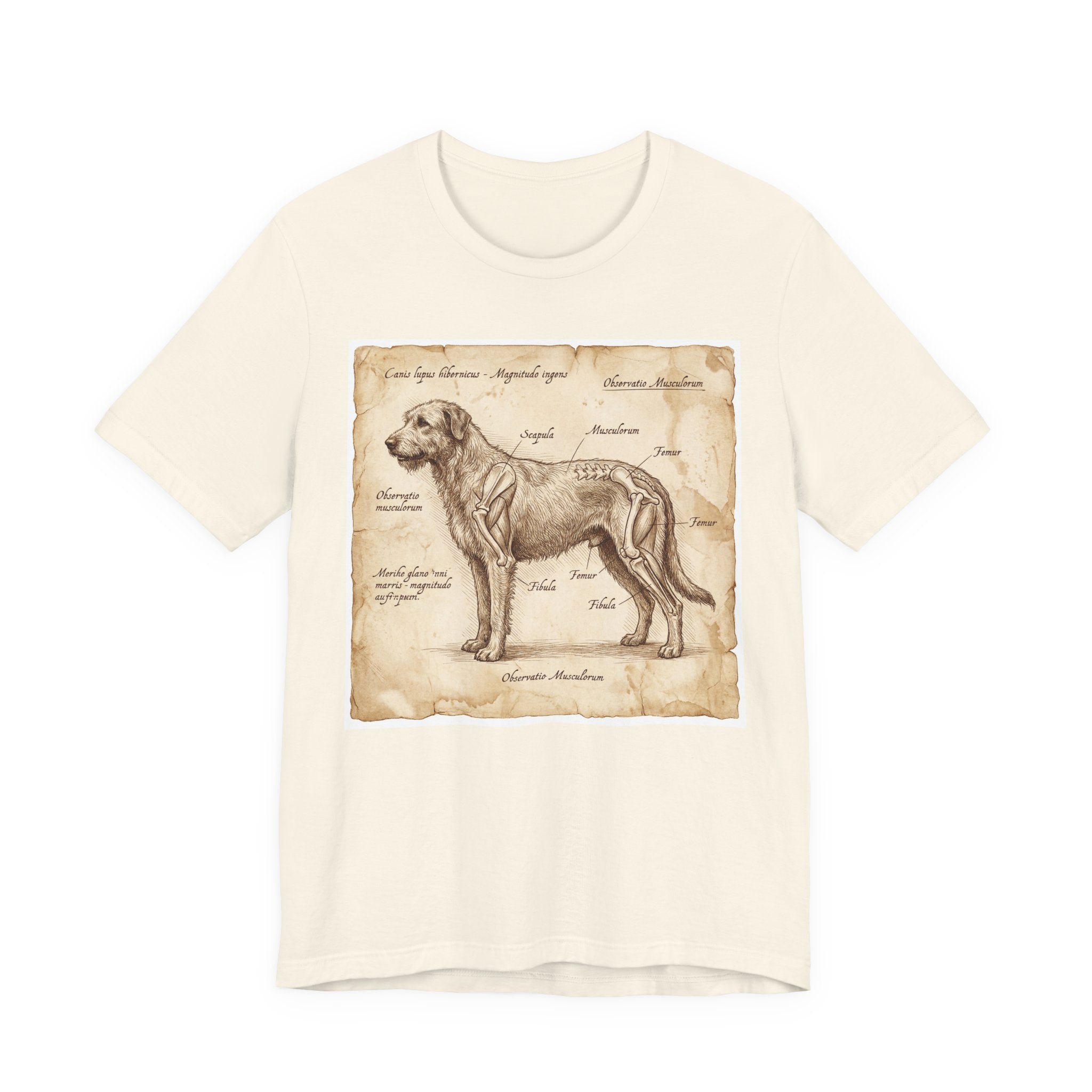 Da Vinci Style Irish Wolfhound T-Shirt — Anatomical Parchment Art Print