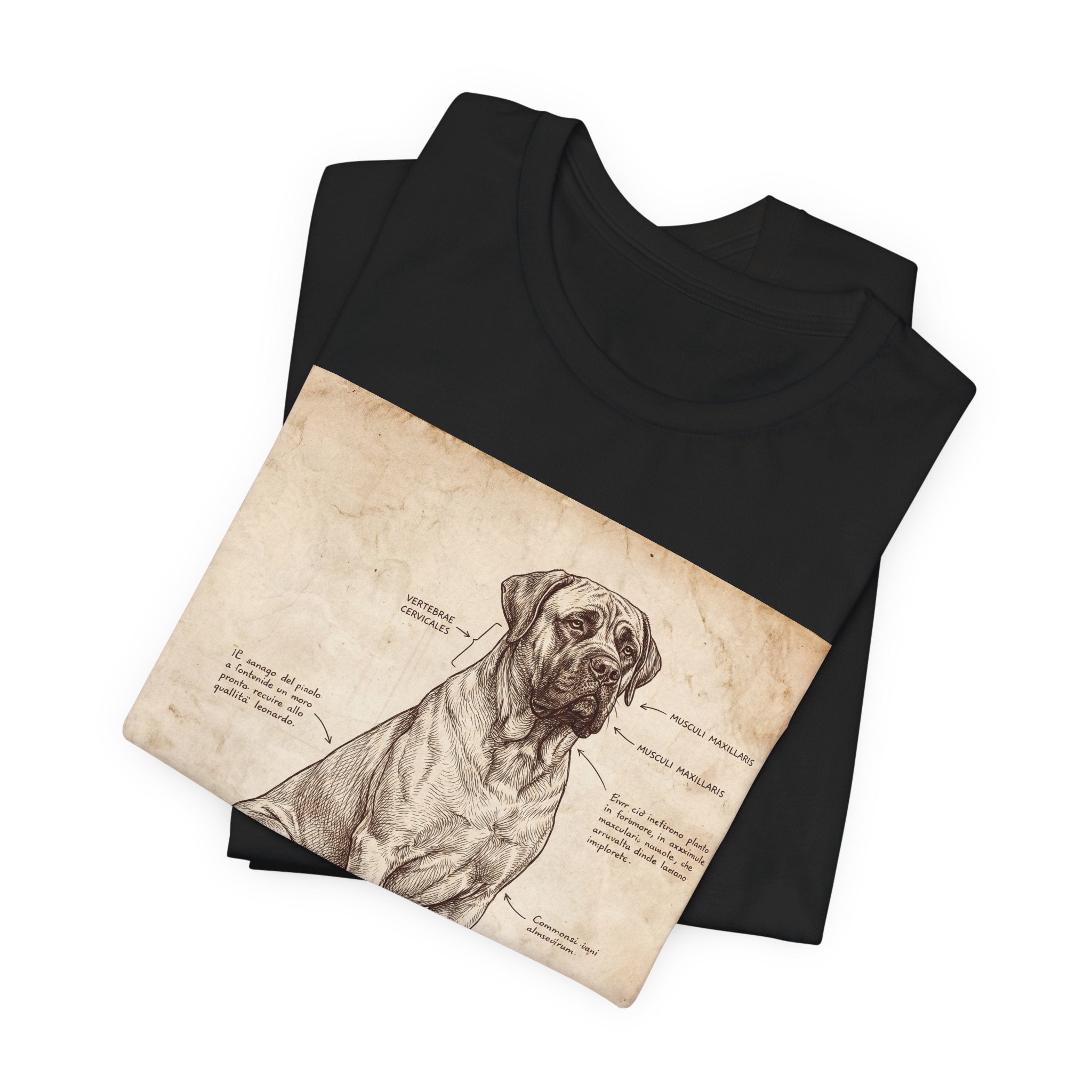 Da Vinci Style Mastiff T-Shirt — Anatomical Parchment Art Print