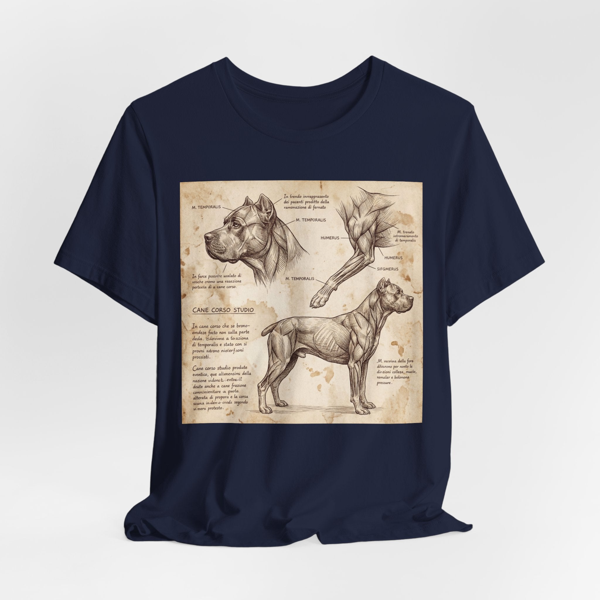 Da Vinci Style Cane Corso T-Shirt — Anatomical Study Art Print