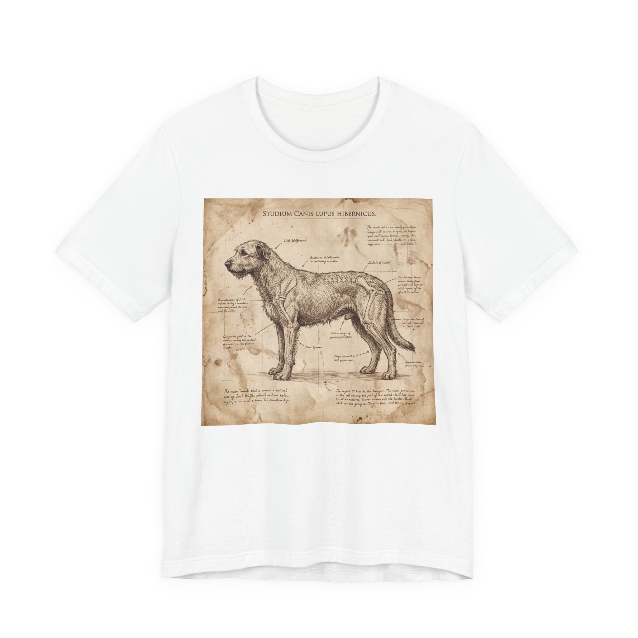 Da Vinci Study Irish Wolfhound T-Shirt — Aged Parchment Art Print