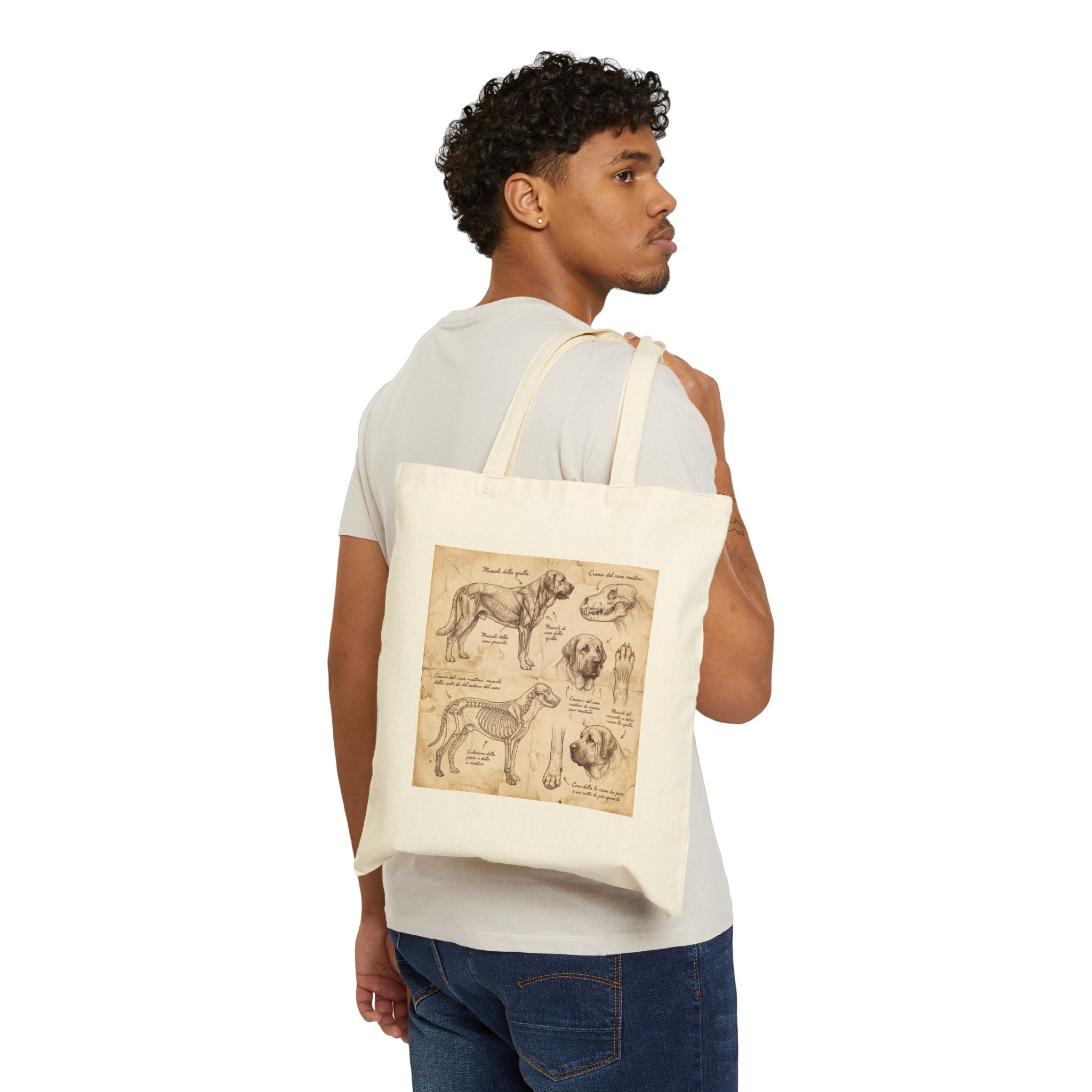 Anatomical Mastiff Tote Bag – Italian Sketch Study Art Print – lifestyle view