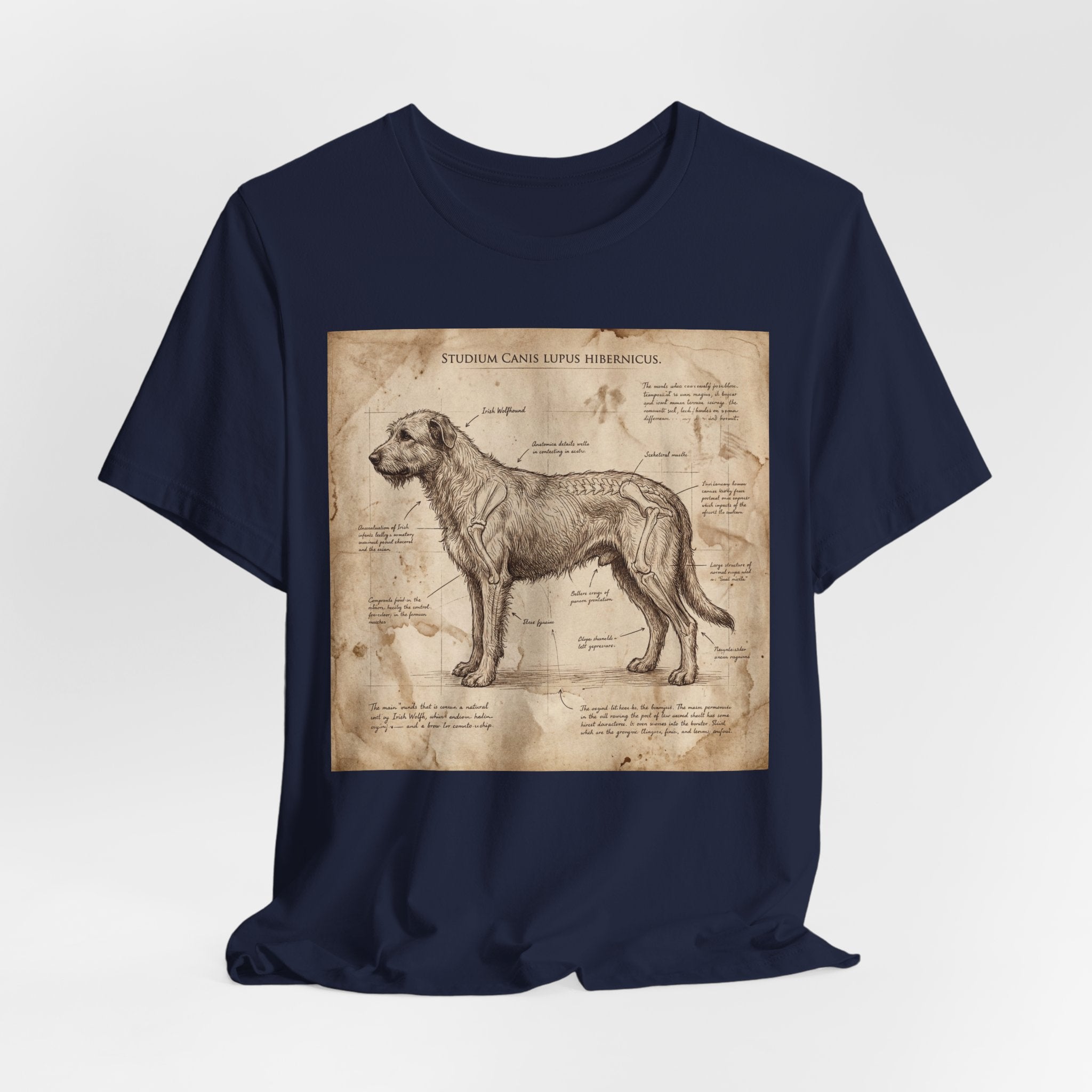 Da Vinci Study Irish Wolfhound T-Shirt — Aged Parchment Art Print