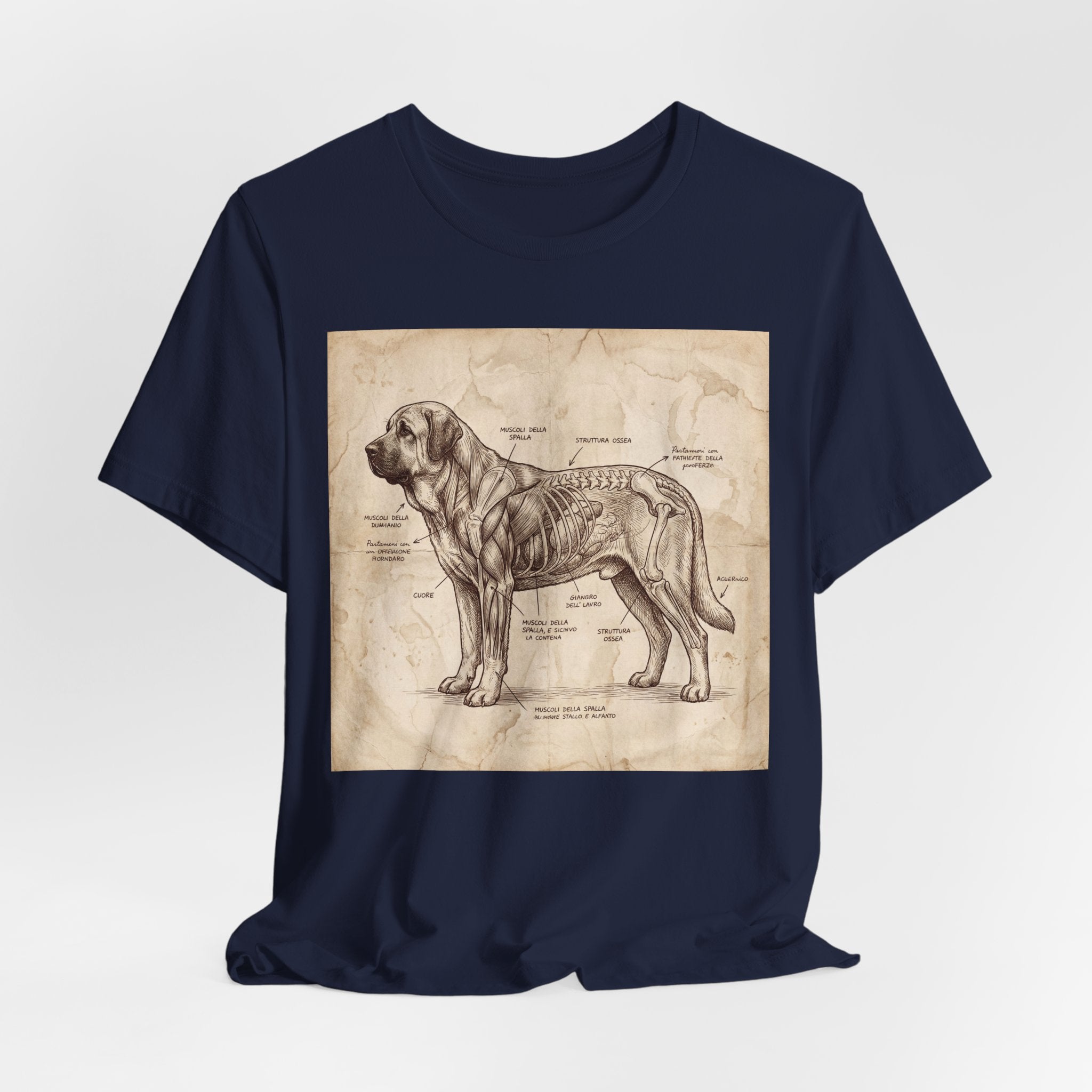 Da Vinci Style Spanish Mastiff T-Shirt — Anatomical Parchment Art Print
