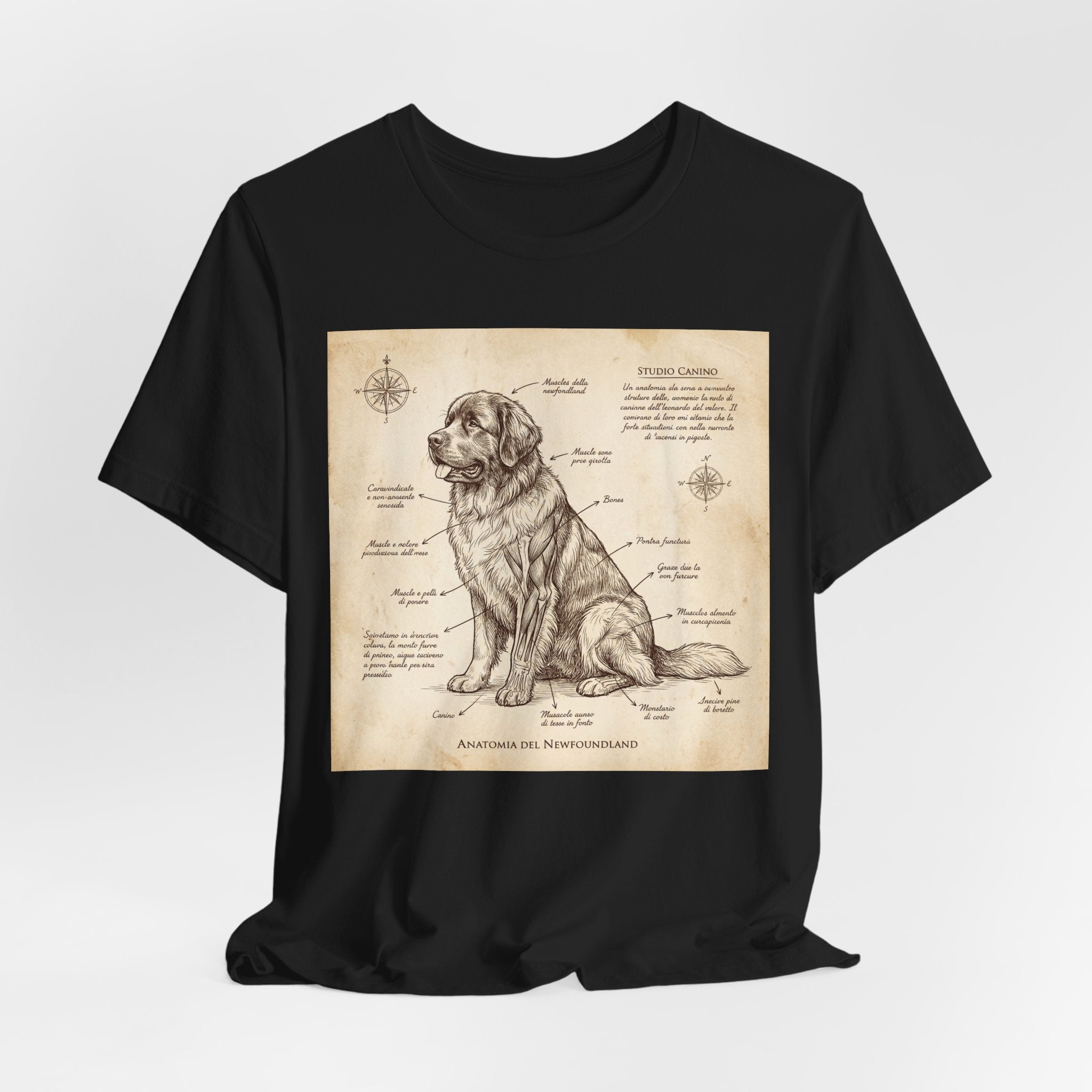 Da Vinci Style Newfoundland T-Shirt — Sepia Anatomical Study Art Print
