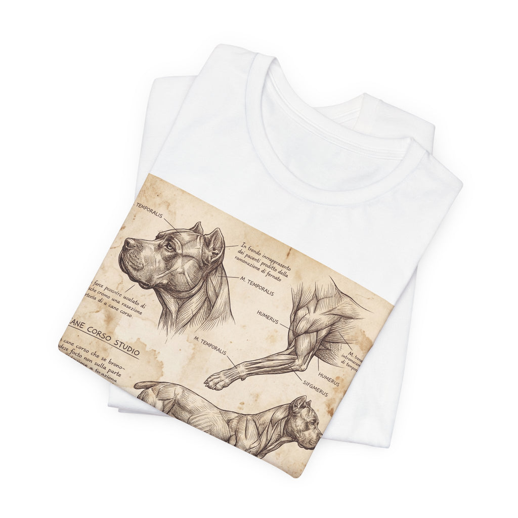 Da Vinci Style Cane Corso T-Shirt — Anatomical Study Art Print