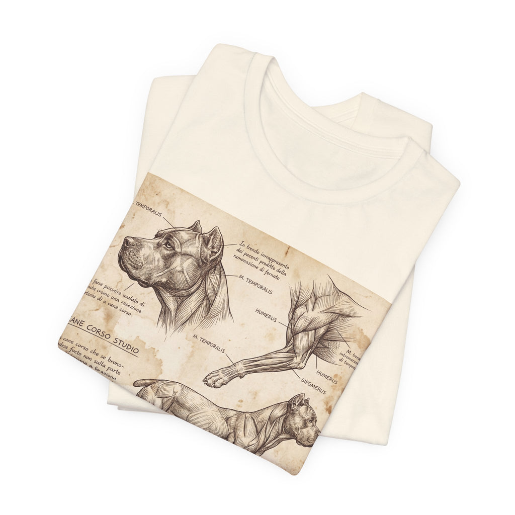 Da Vinci Style Cane Corso T-Shirt — Anatomical Study Art Print