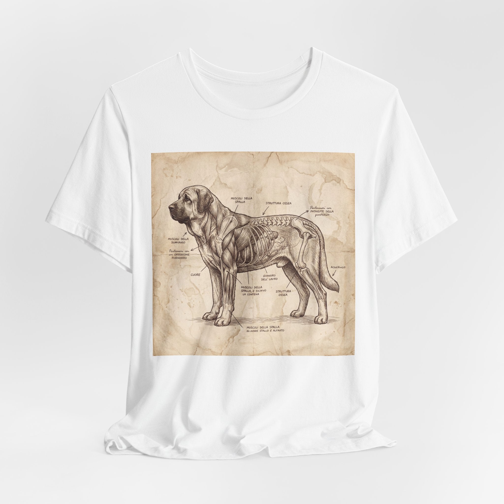 Da Vinci Style Spanish Mastiff T-Shirt — Anatomical Parchment Art Print