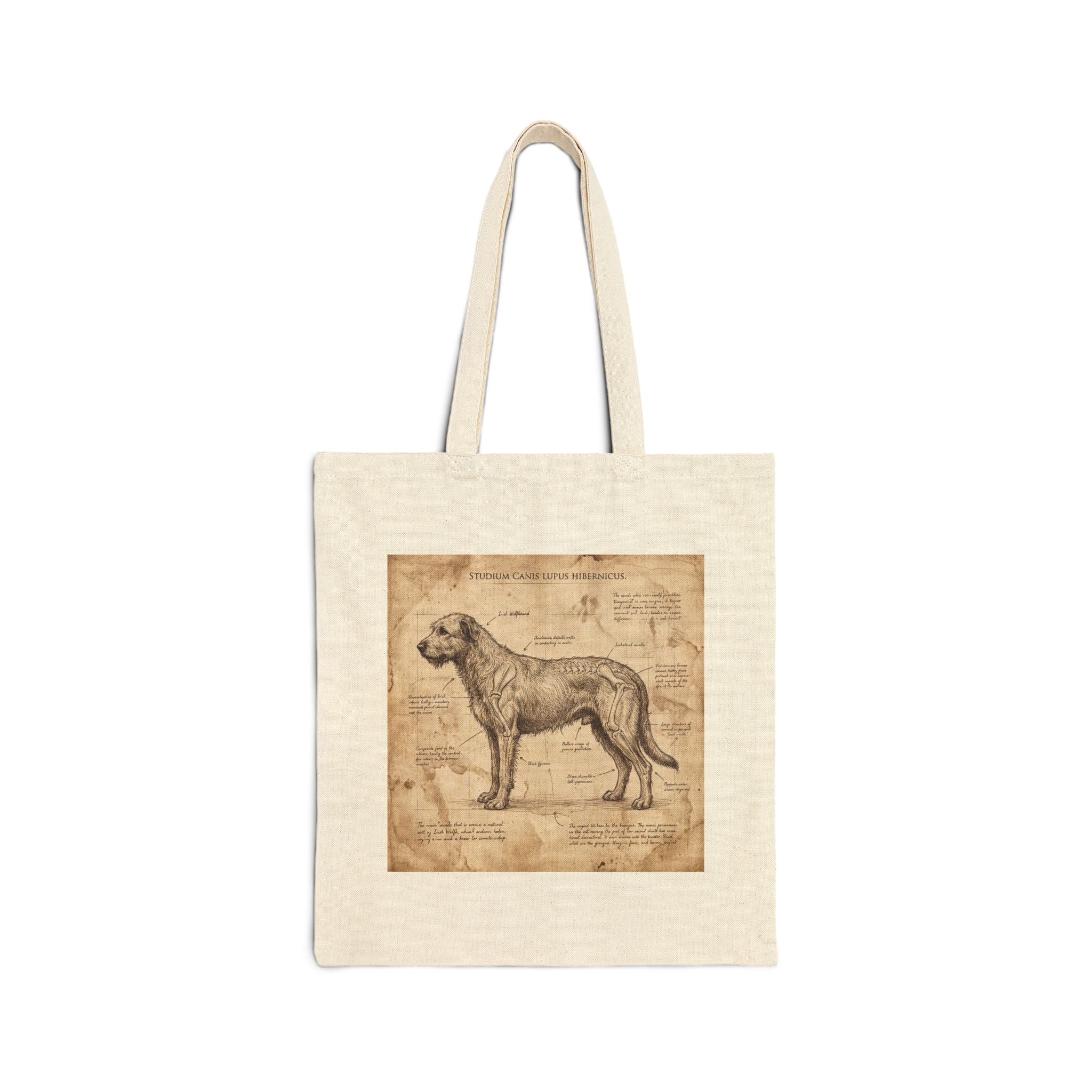 Anatomy Blueprint Irish Wolfhound Tote Bag – Vintage Study Art Print – side view
