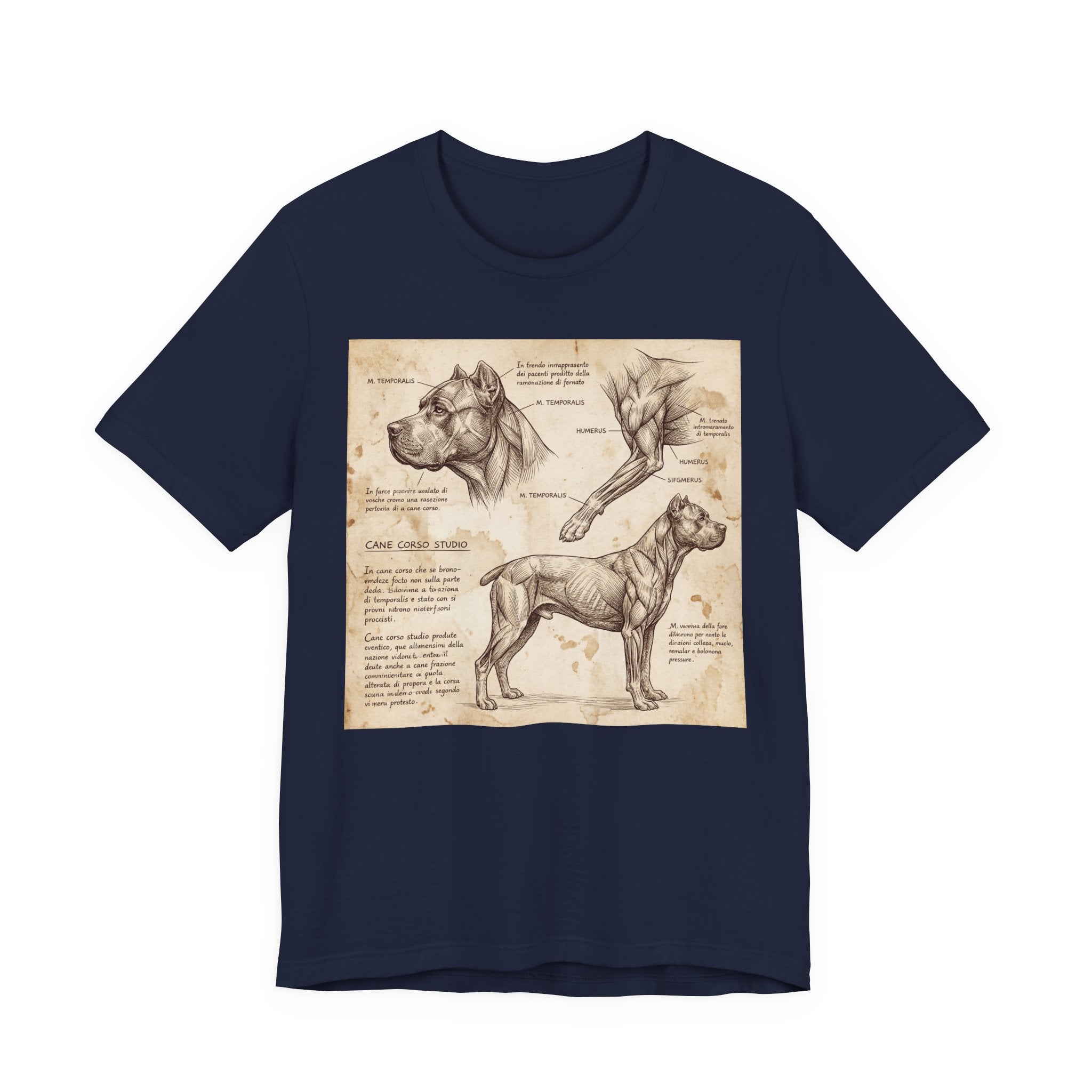 Da Vinci Style Cane Corso T-Shirt — Anatomical Study Art Print
