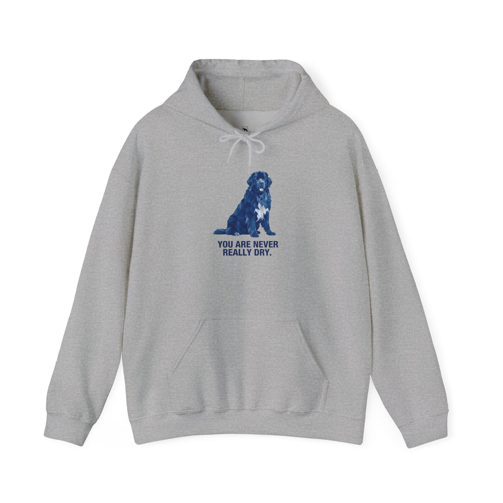 Newfoundland Low Poly Hoodie — Deep Blue Geometric Art Print