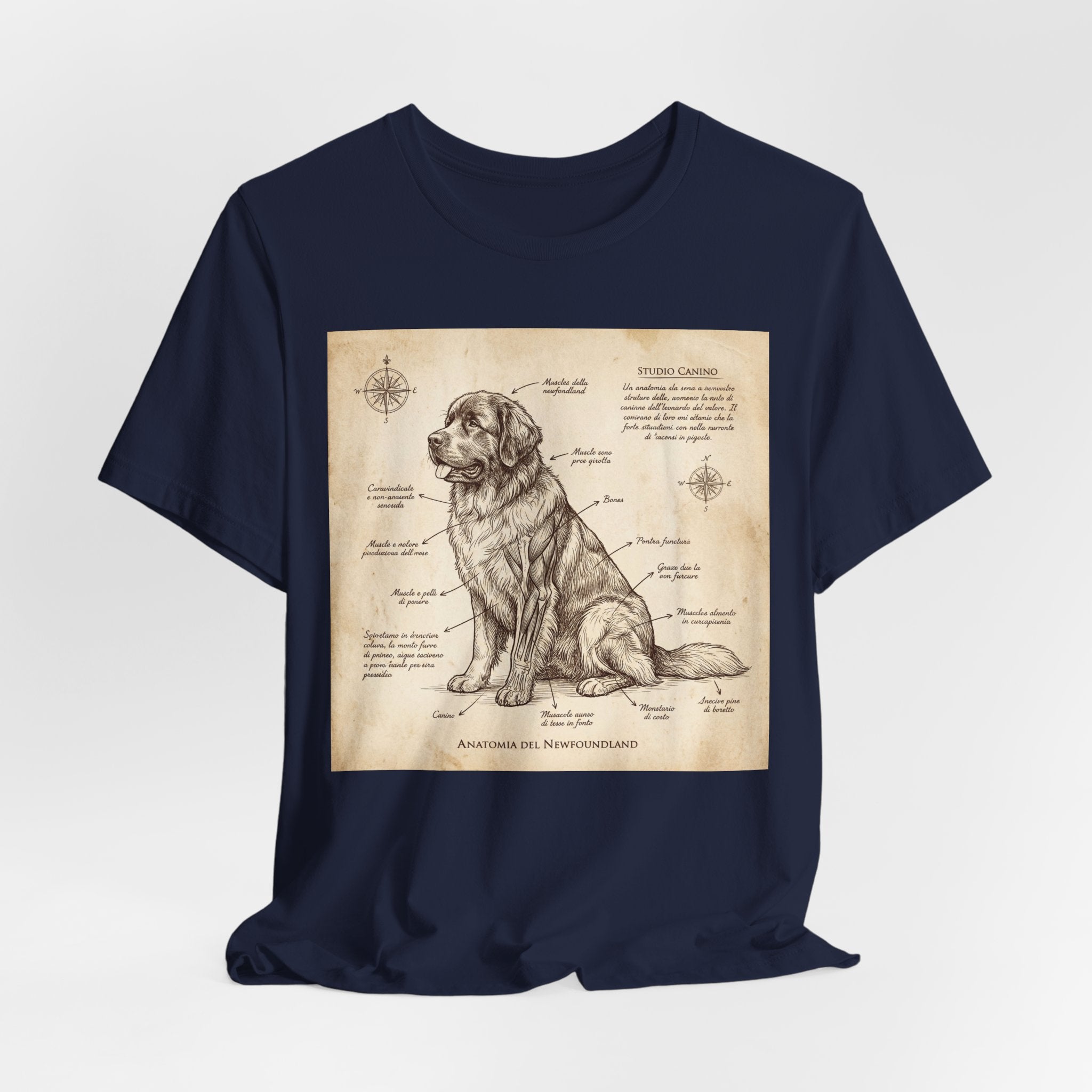 Da Vinci Style Newfoundland T-Shirt — Sepia Anatomical Study Art Print