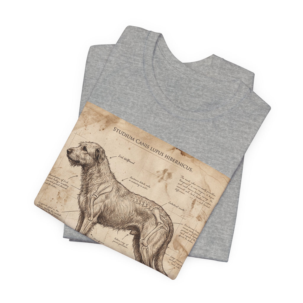 Da Vinci Study Irish Wolfhound T-Shirt — Aged Parchment Art Print