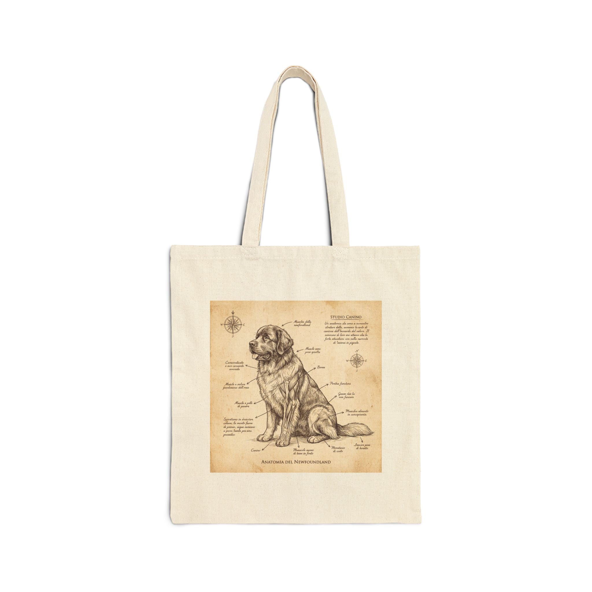 Anatomical Newfoundland Tote Bag – Da Vinci Sketch Art Print – side view