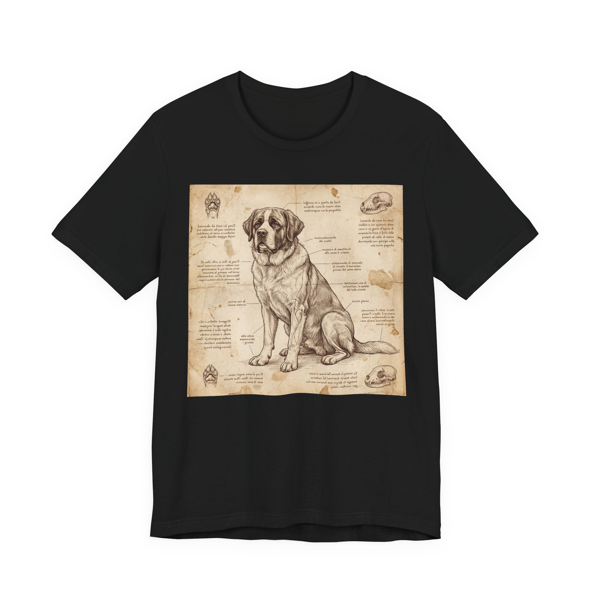 Da Vinci Style Saint Bernard T-Shirt — Anatomical Blueprint Art Print