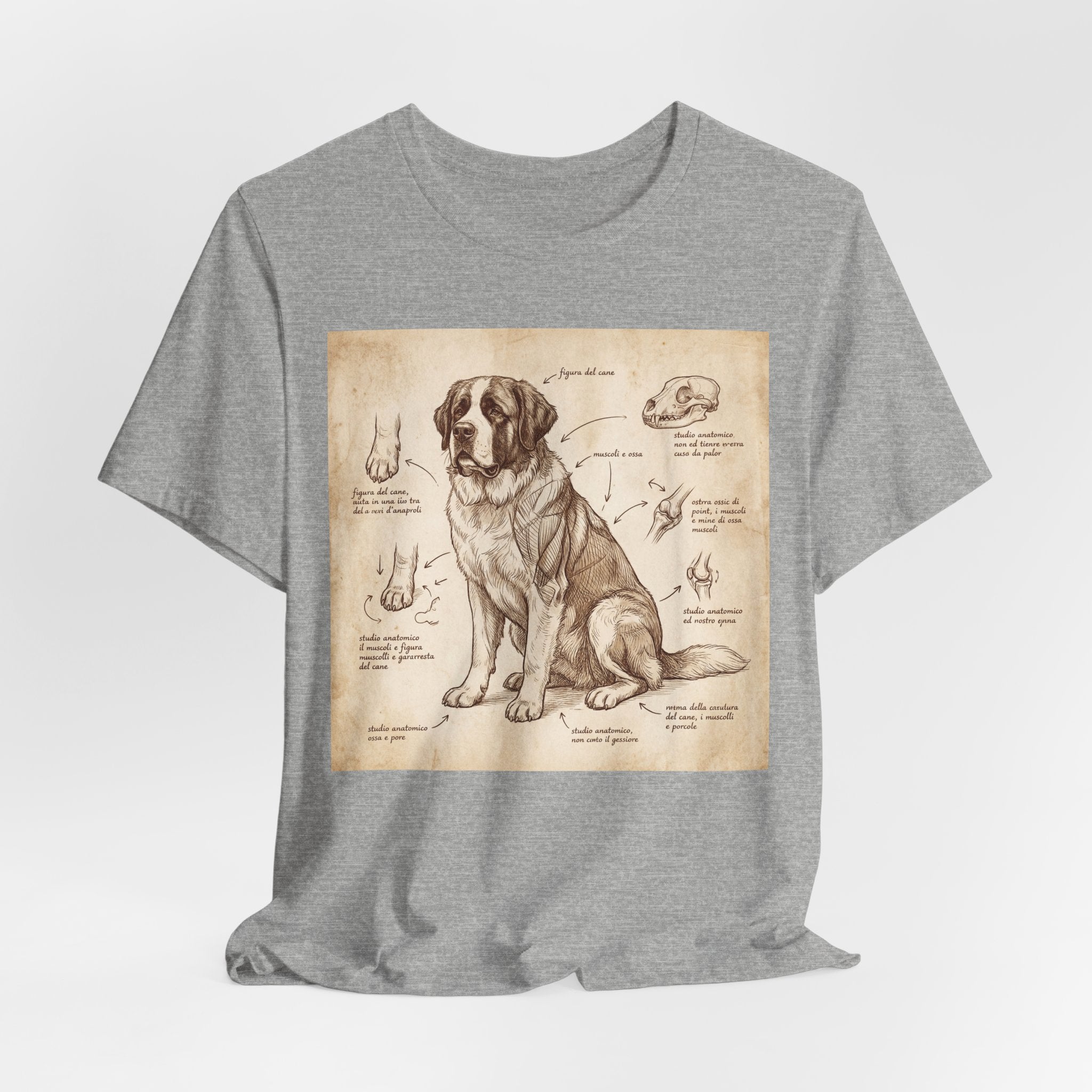 Da Vinci Style Saint Bernard T-Shirt — Anatomical Sketch Art Print