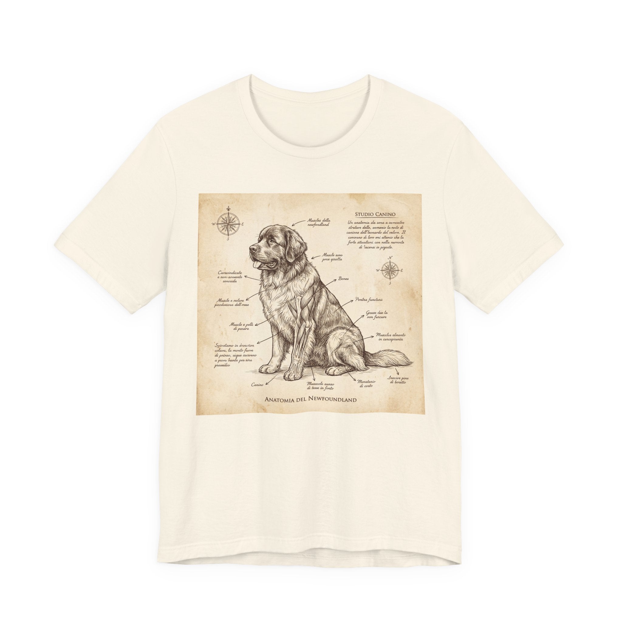 Da Vinci Style Newfoundland T-Shirt — Sepia Anatomical Study Art Print