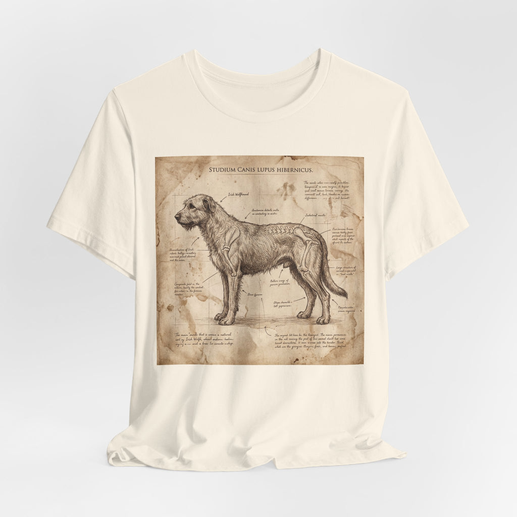Da Vinci Study Irish Wolfhound T-Shirt — Aged Parchment Art Print