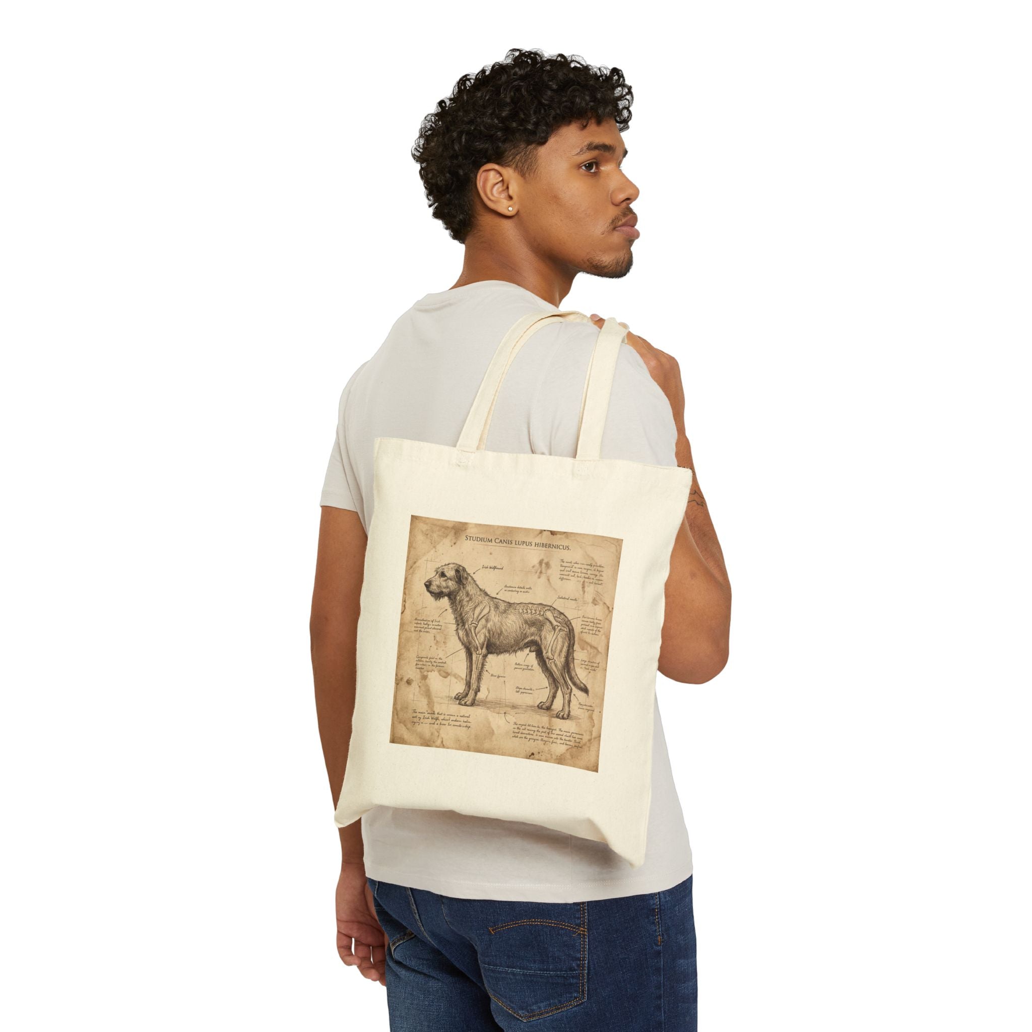 Anatomy Blueprint Irish Wolfhound Tote Bag – Vintage Study Art Print – lifestyle view