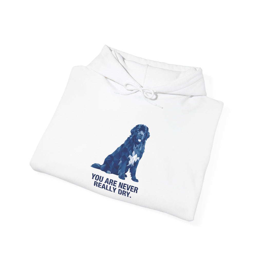 Newfoundland Low Poly Hoodie — Deep Blue Geometric Art Print