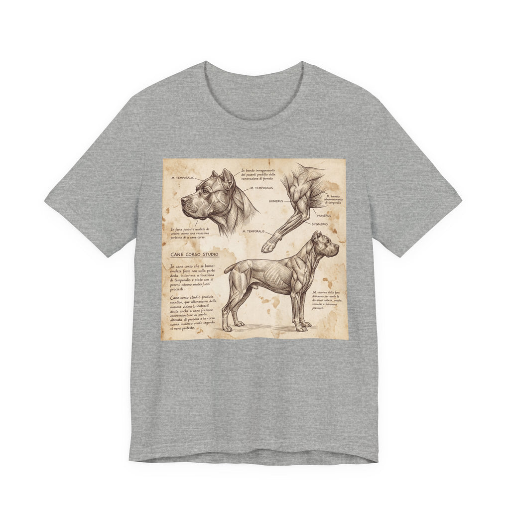 Da Vinci Style Cane Corso T-Shirt — Anatomical Study Art Print