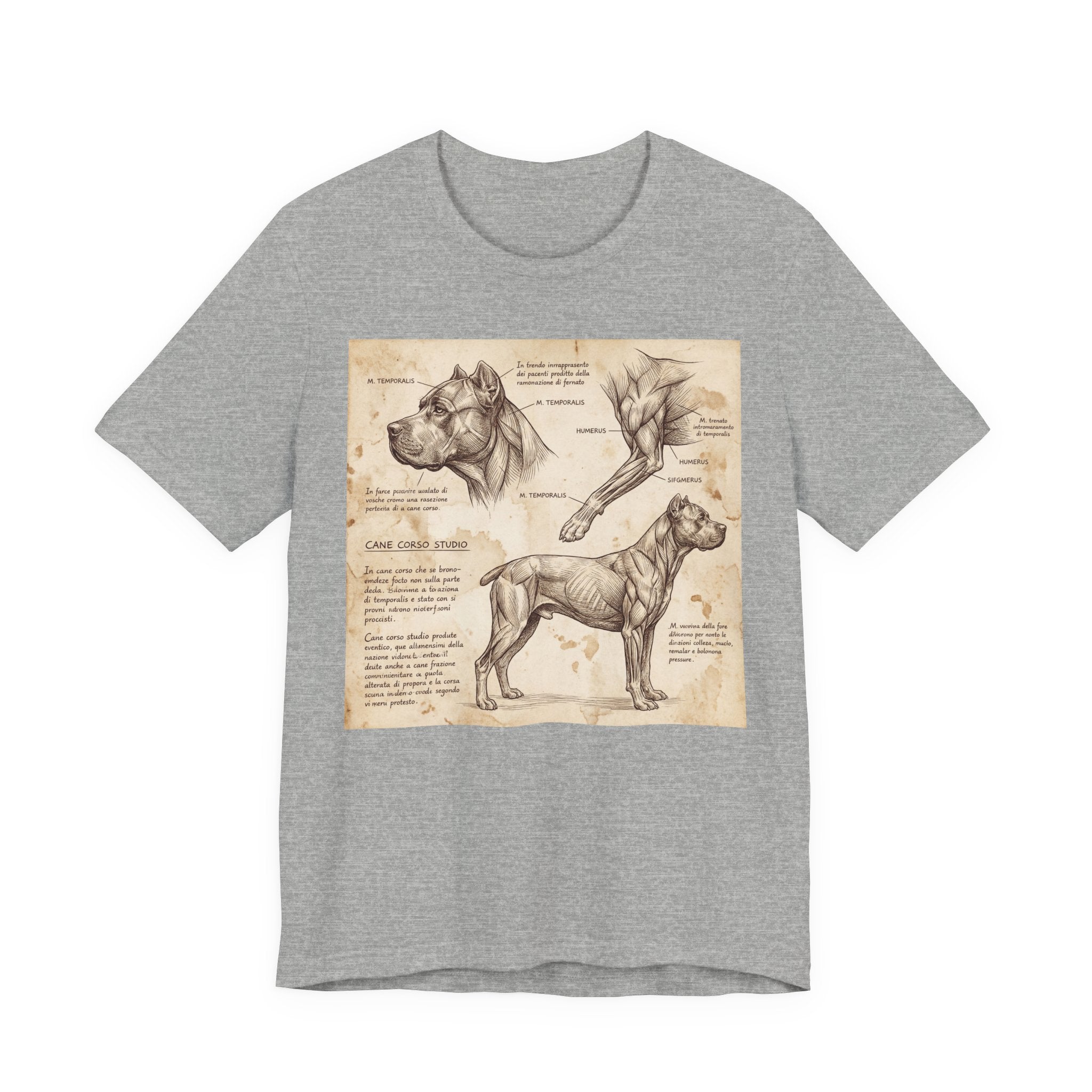 Da Vinci Style Cane Corso T-Shirt — Anatomical Study Art Print