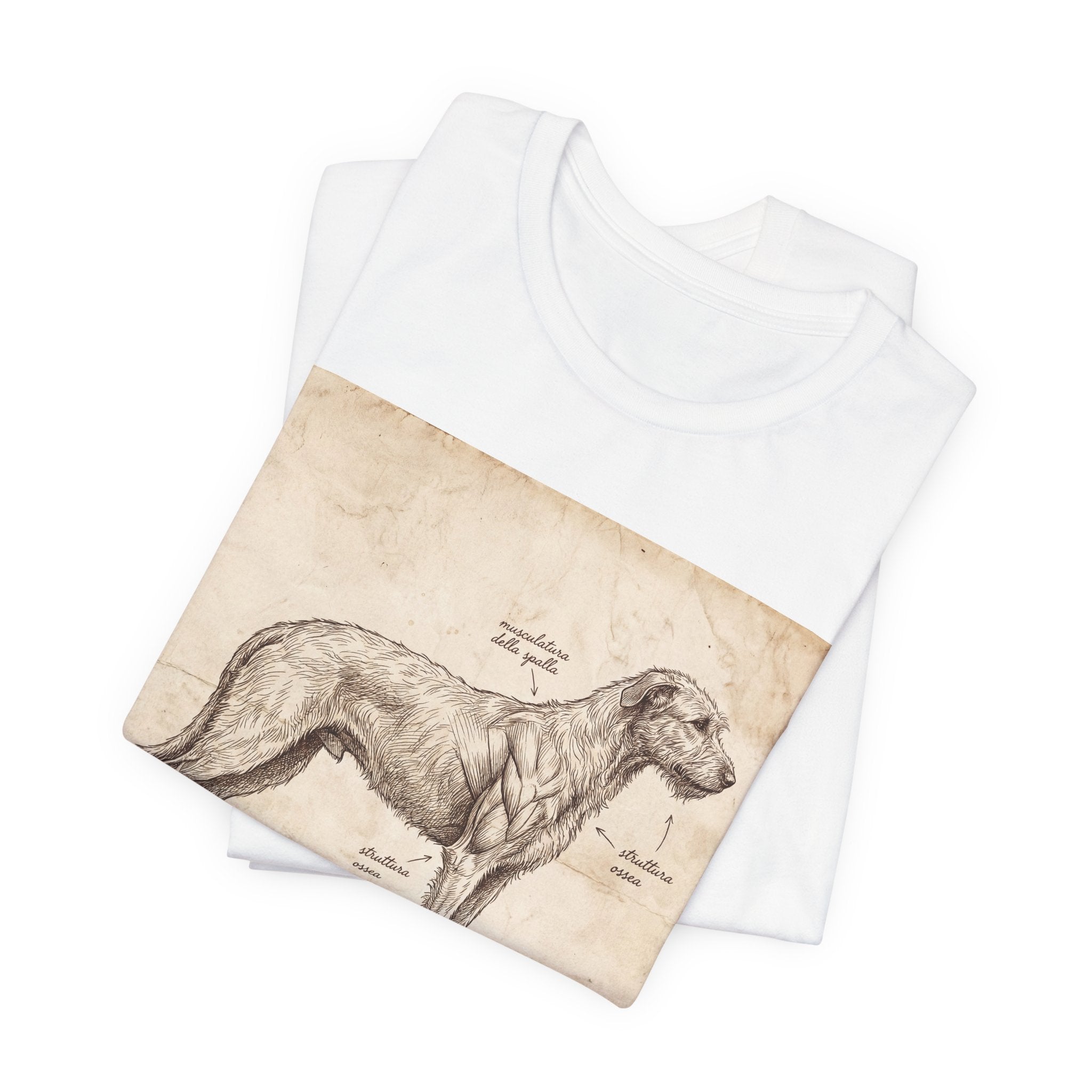 Anatomical Irish Wolfhound T-Shirt — Aged Parchment Sketch Art Print
