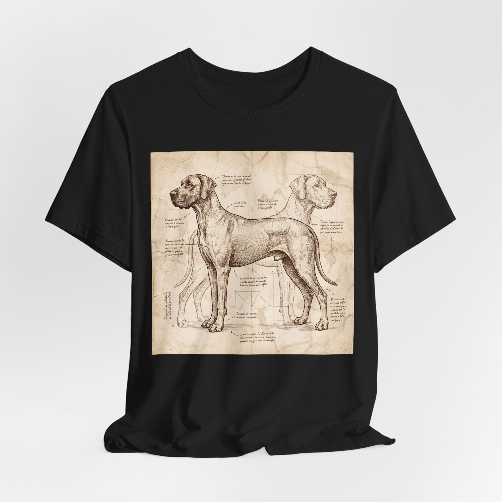 Da Vinci Style Great Dane T-Shirt — Anatomical Blueprint Art Print