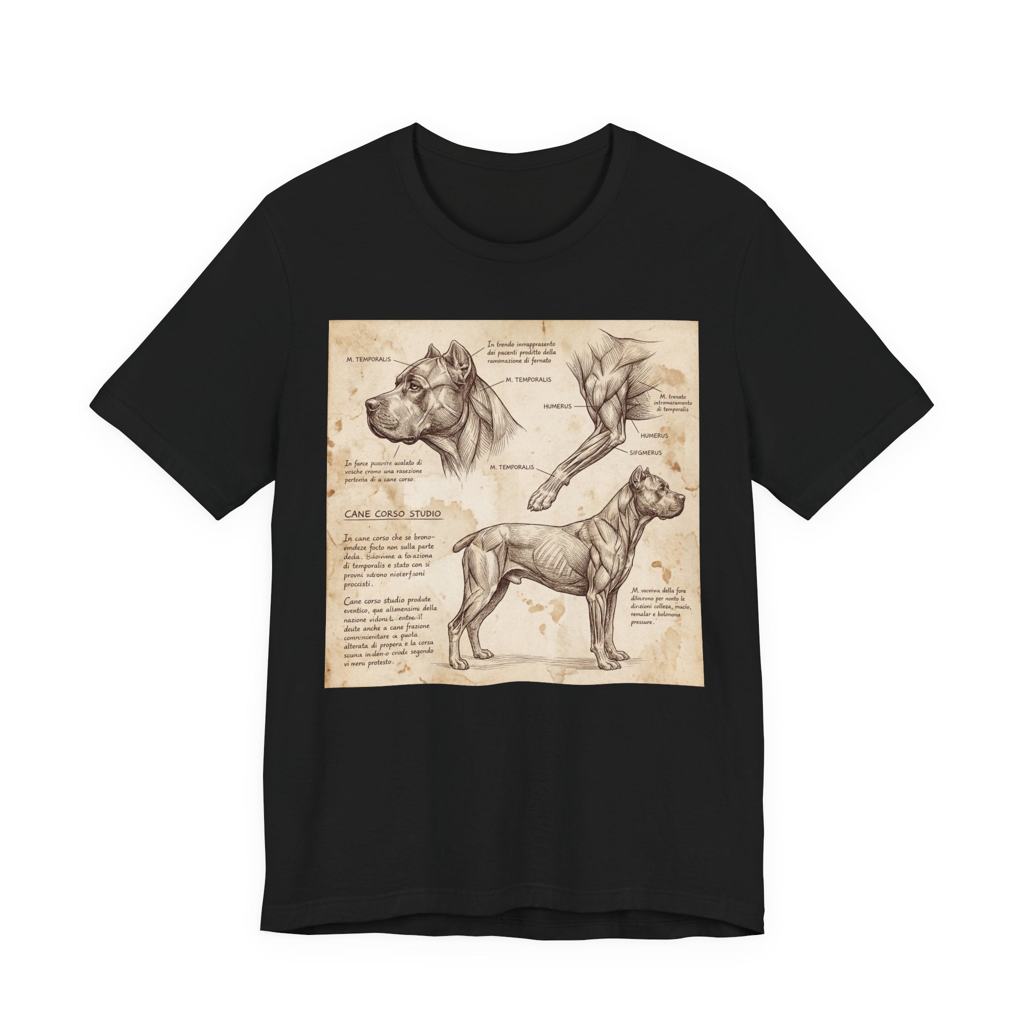 Da Vinci Style Cane Corso T-Shirt — Anatomical Study Art Print