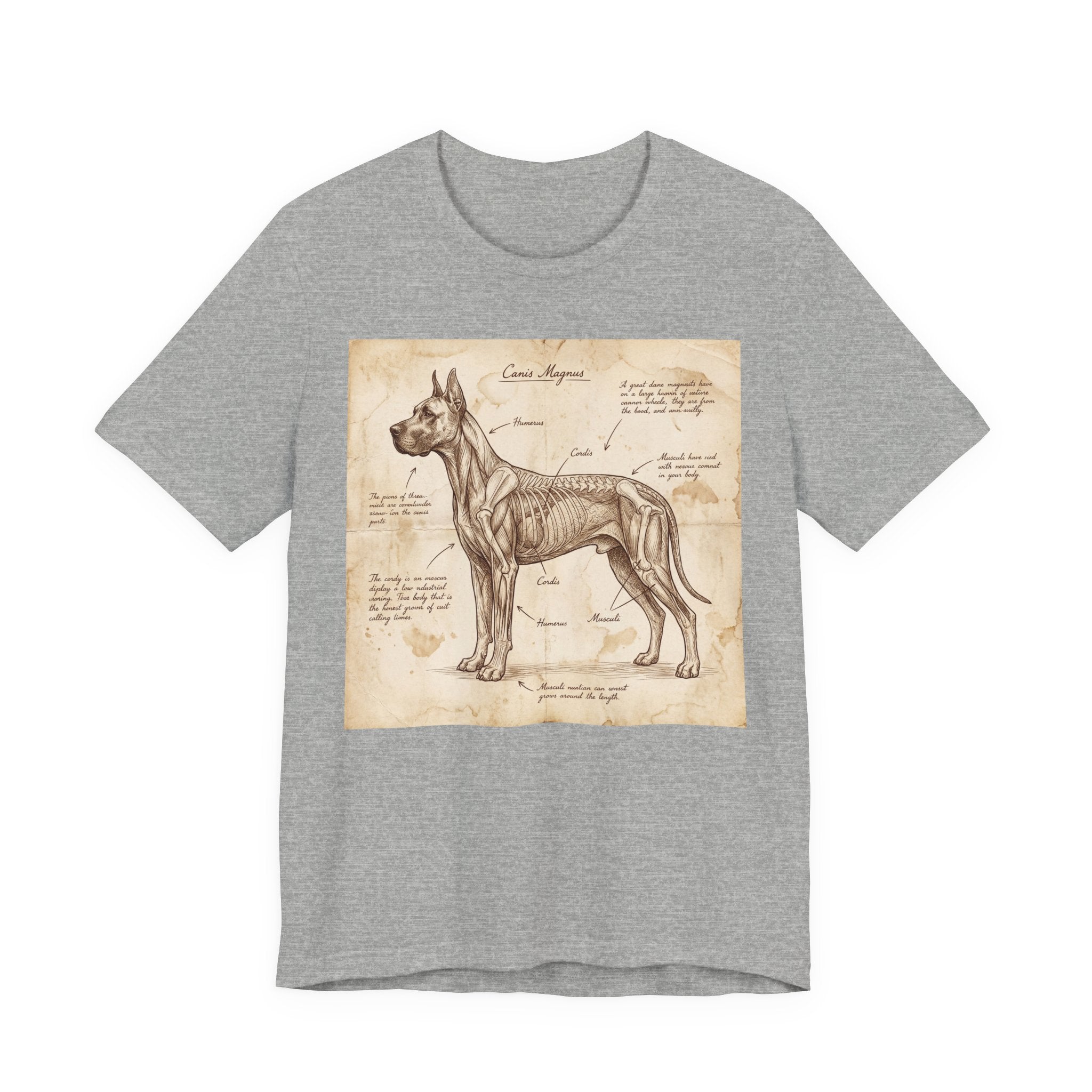 Da Vinci Style Great Dane T-Shirt — Anatomical Parchment Art Print