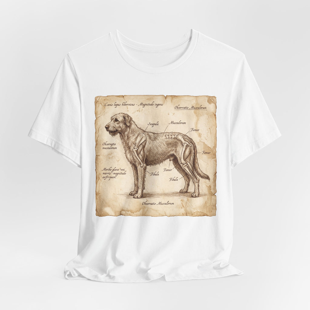 Da Vinci Style Irish Wolfhound T-Shirt — Anatomical Parchment Art Print