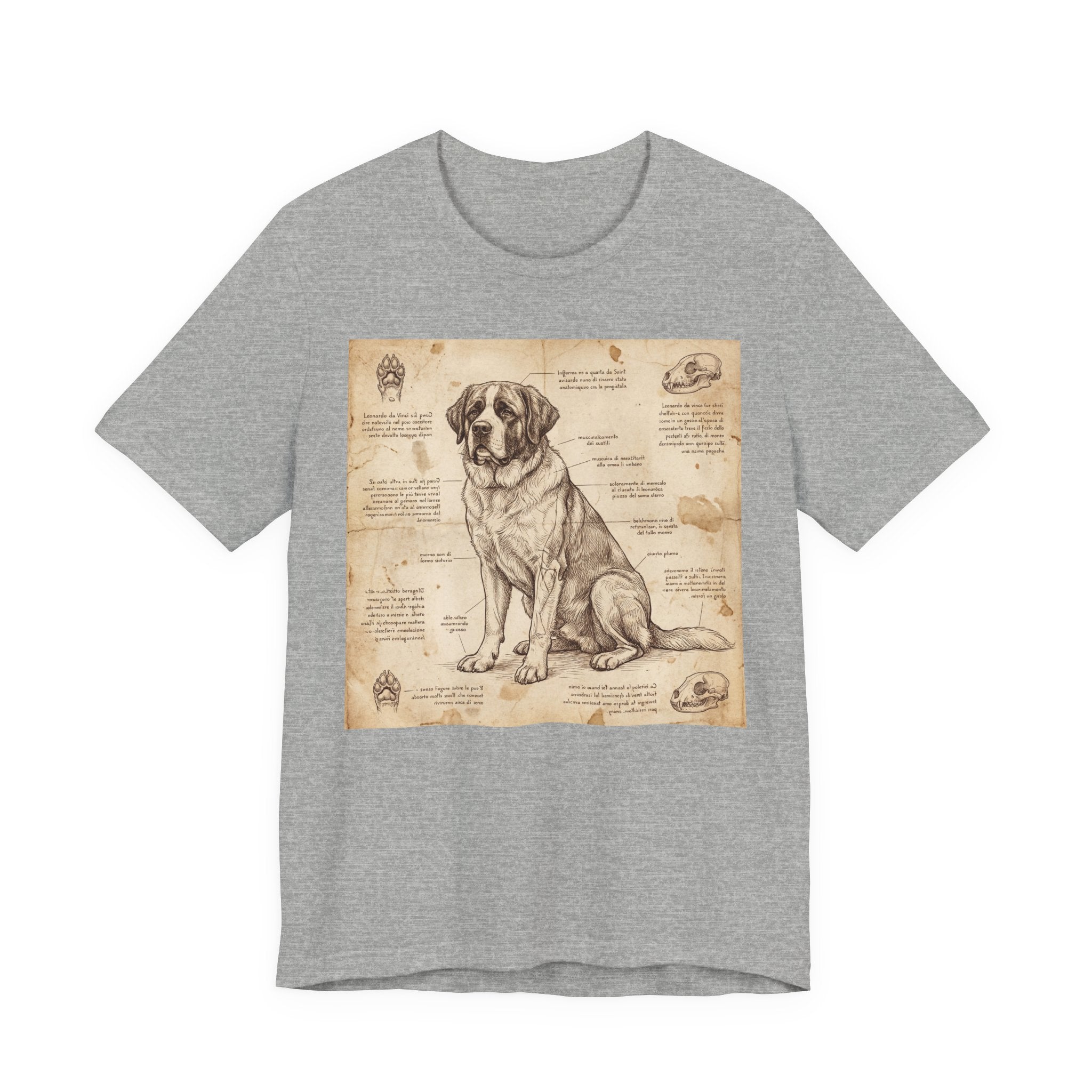 Da Vinci Style Saint Bernard T-Shirt — Anatomical Blueprint Art Print