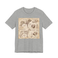Da Vinci Style Mastiff T-Shirt — Anatomical Study Sepia Art Print