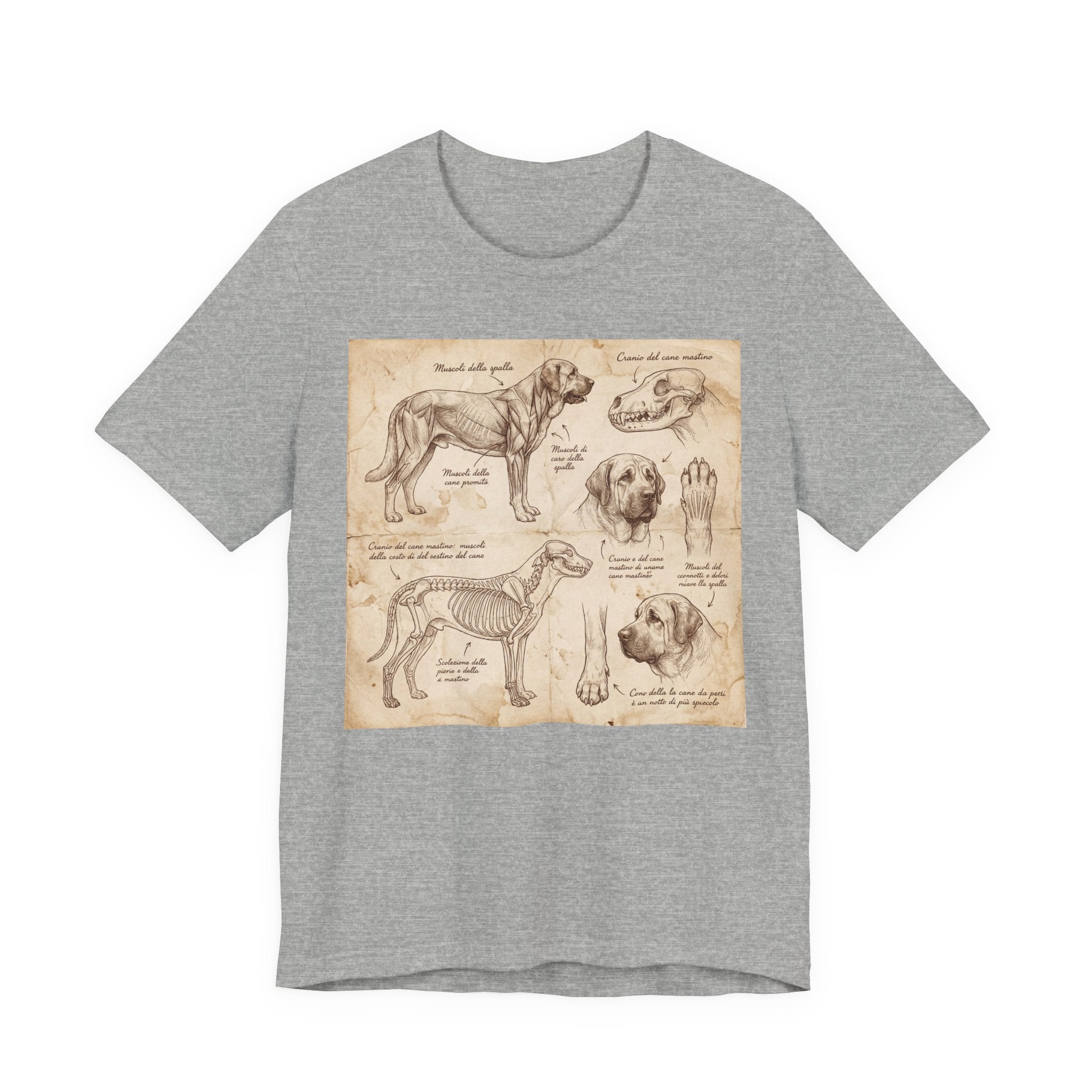 Da Vinci Style Mastiff T-Shirt — Anatomical Study Sepia Art Print