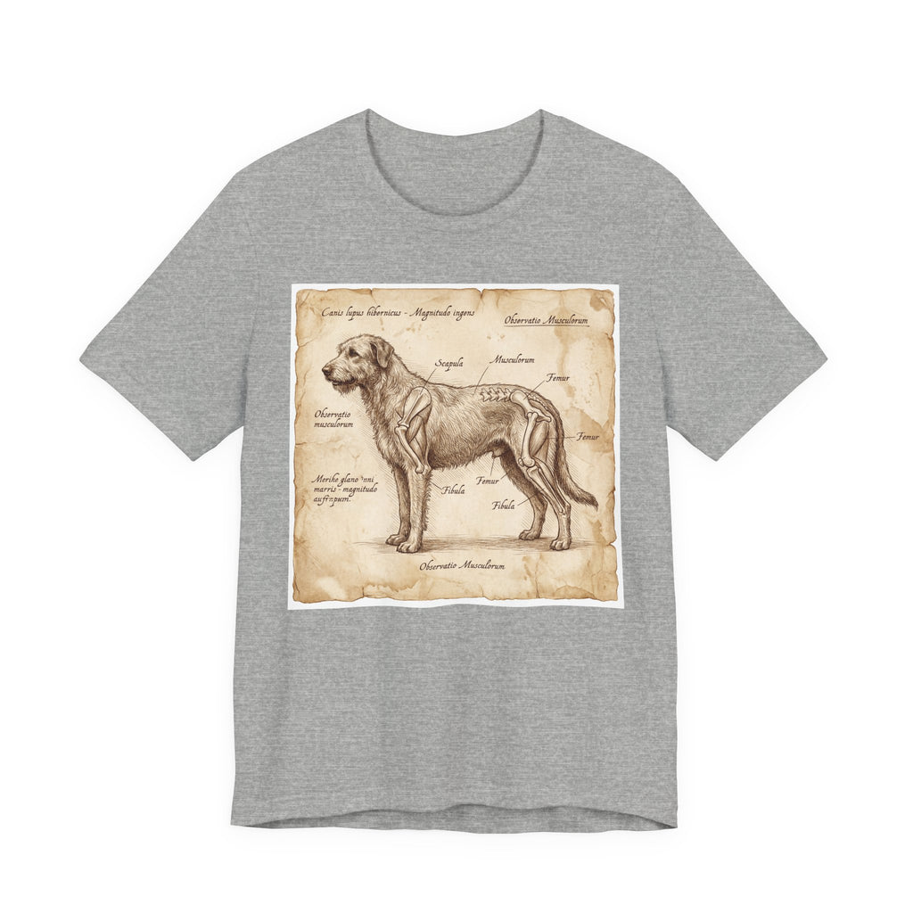 Da Vinci Style Irish Wolfhound T-Shirt — Anatomical Parchment Art Print