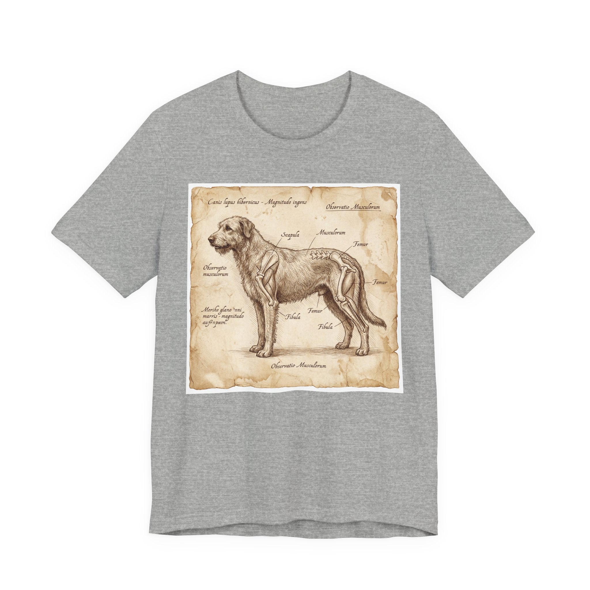 Da Vinci Style Irish Wolfhound T-Shirt — Anatomical Parchment Art Print