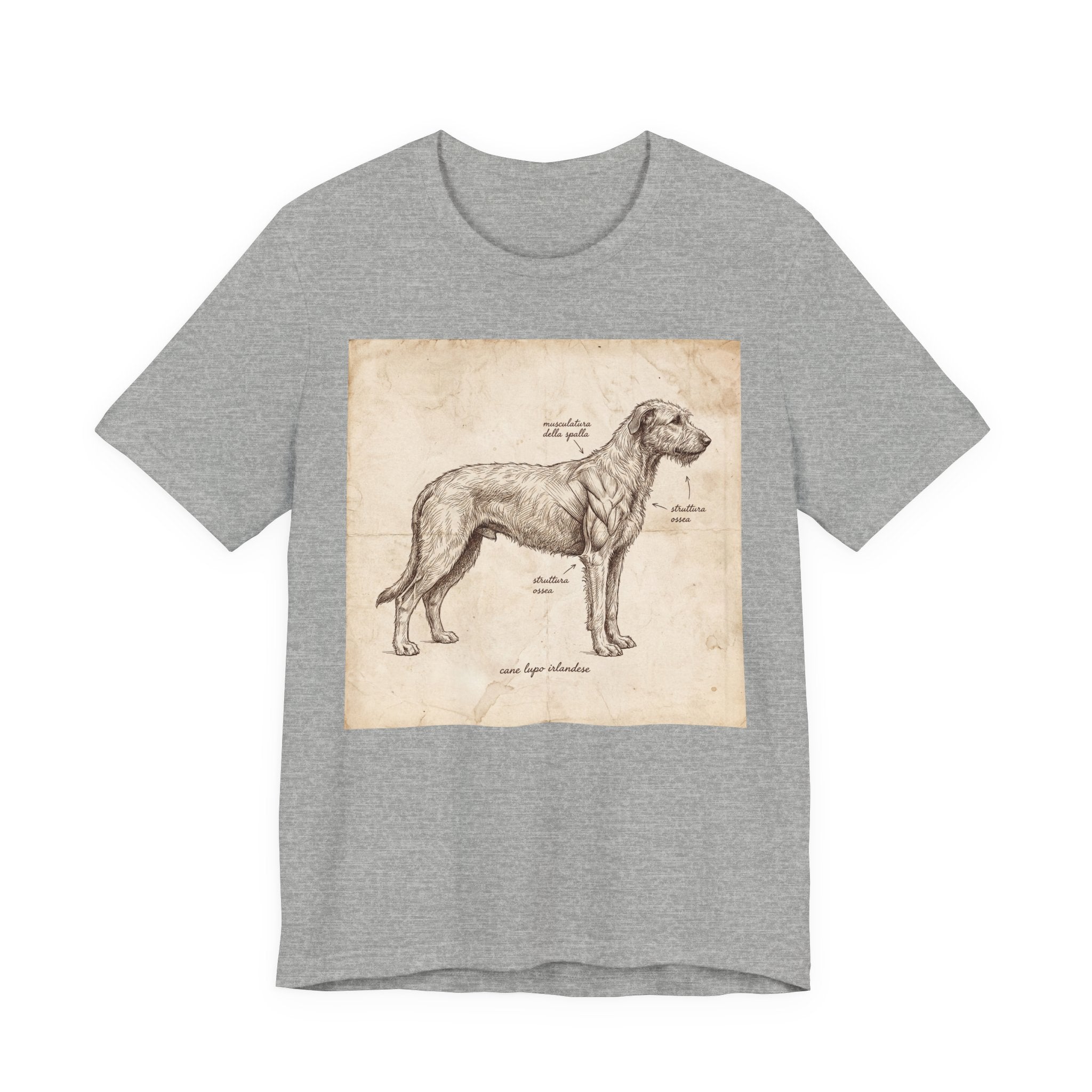 Anatomical Irish Wolfhound T-Shirt — Aged Parchment Sketch Art Print