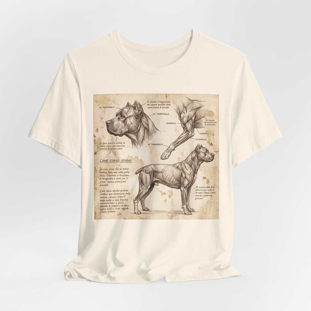 Da Vinci Style Cane Corso T-Shirt — Anatomical Study Art Print