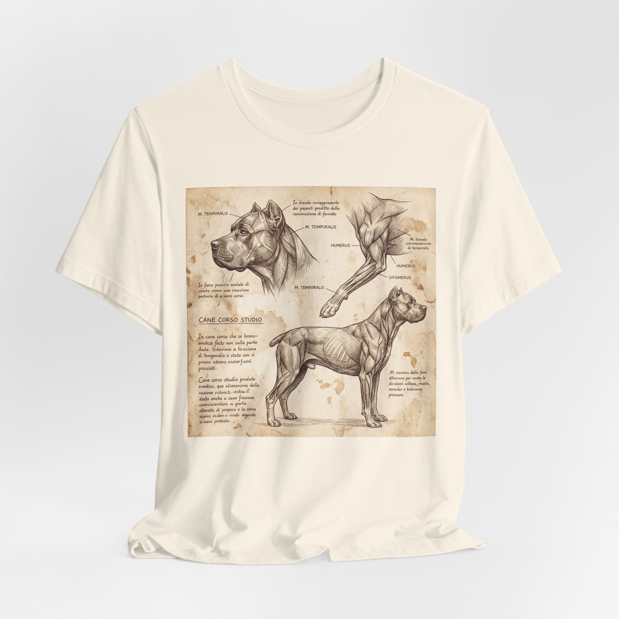 Da Vinci Style Cane Corso T-Shirt — Anatomical Study Art Print